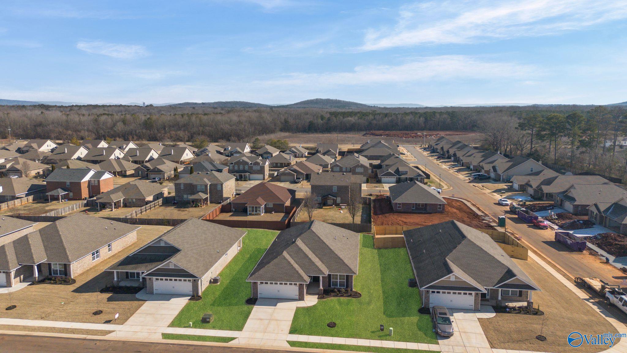 15346 Springbrook Trace, Athens, Alabama image 29