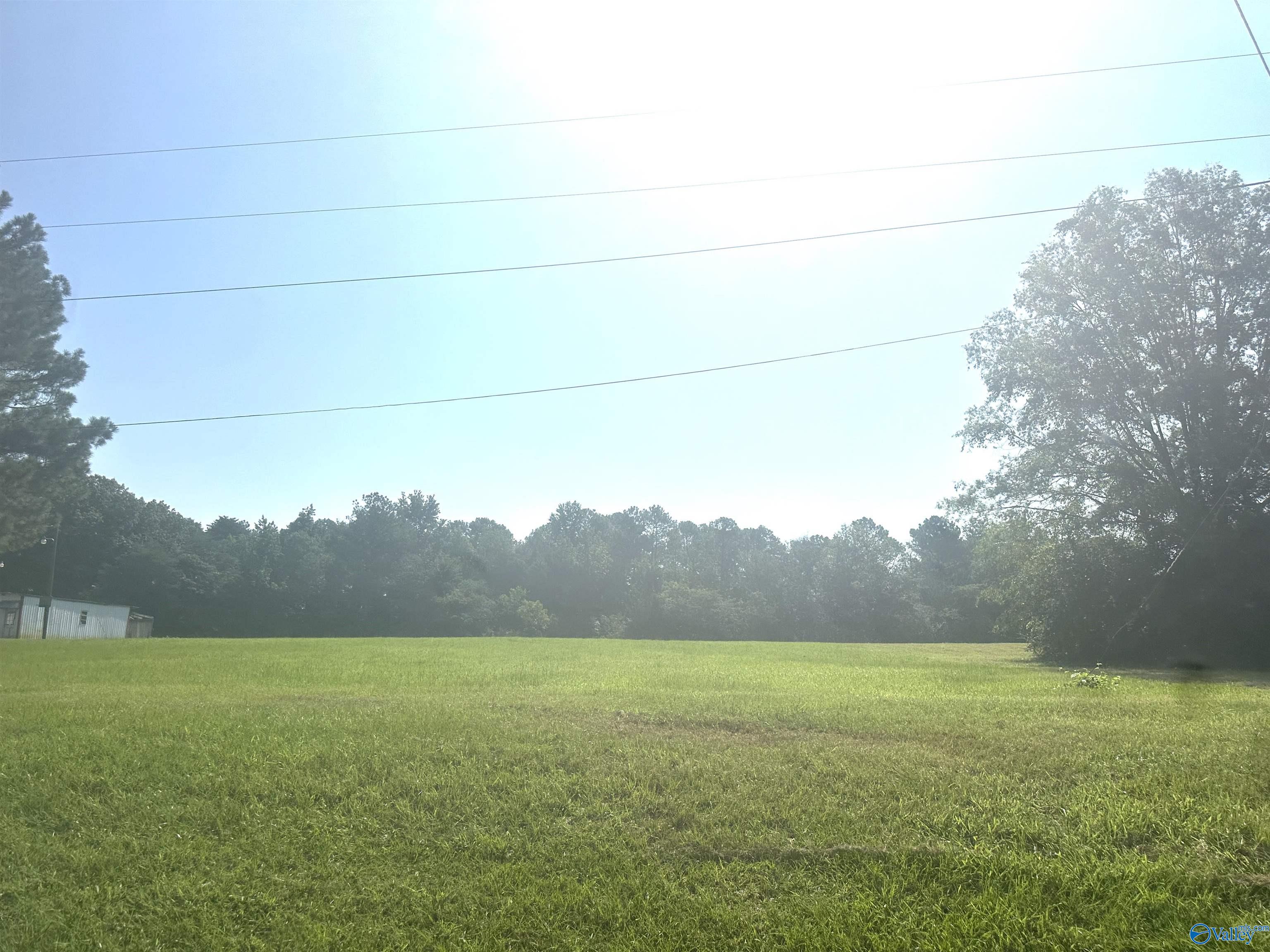 .50 Acres Rosenwald Street, Moulton, Alabama image 3