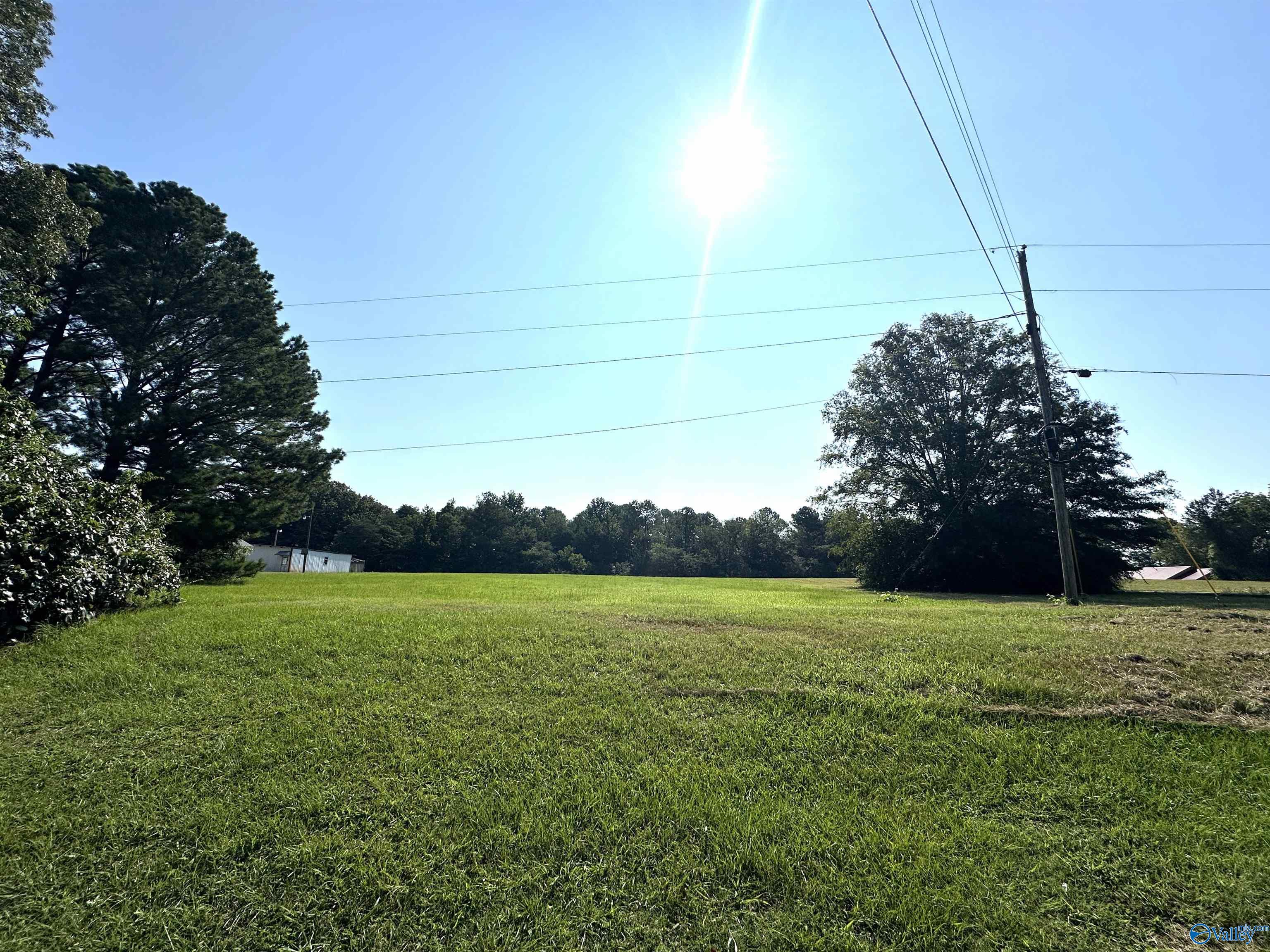 .50 Acres Rosenwald Street, Moulton, Alabama image 2