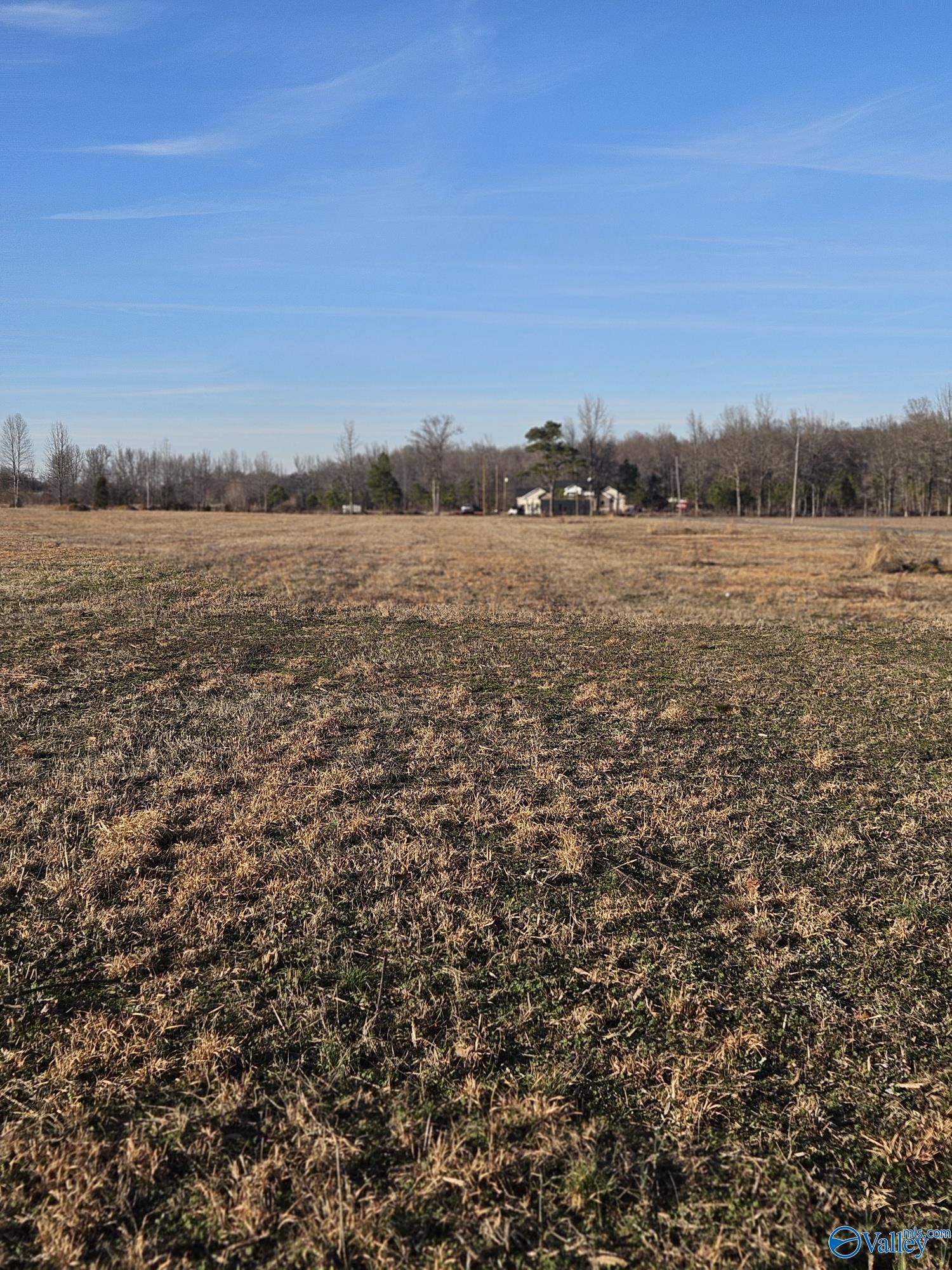 Lot 6 Elkwood Section Road, Hazel Green, Alabama image 5