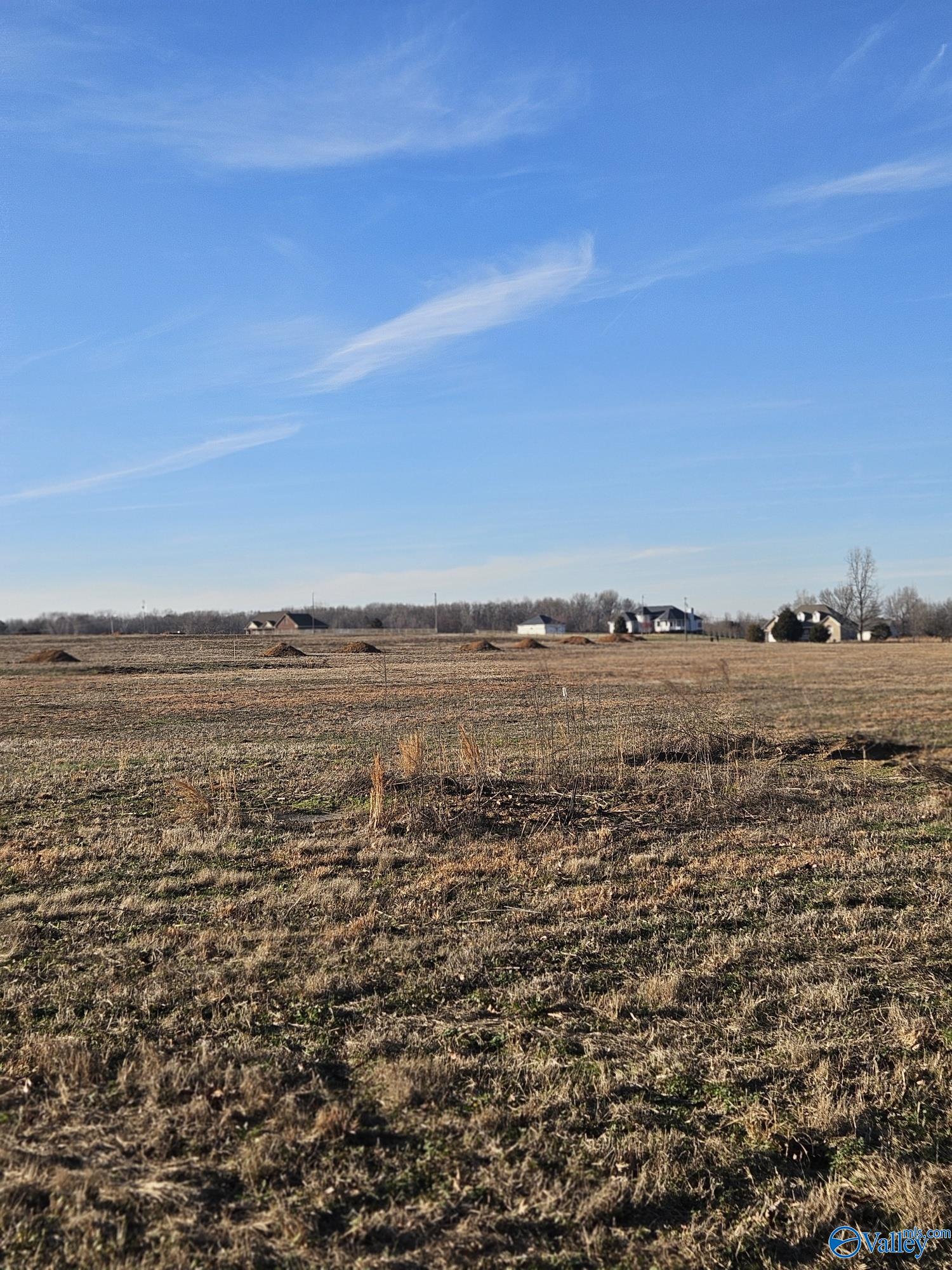 Lot 6 Elkwood Section Road, Hazel Green, Alabama image 7