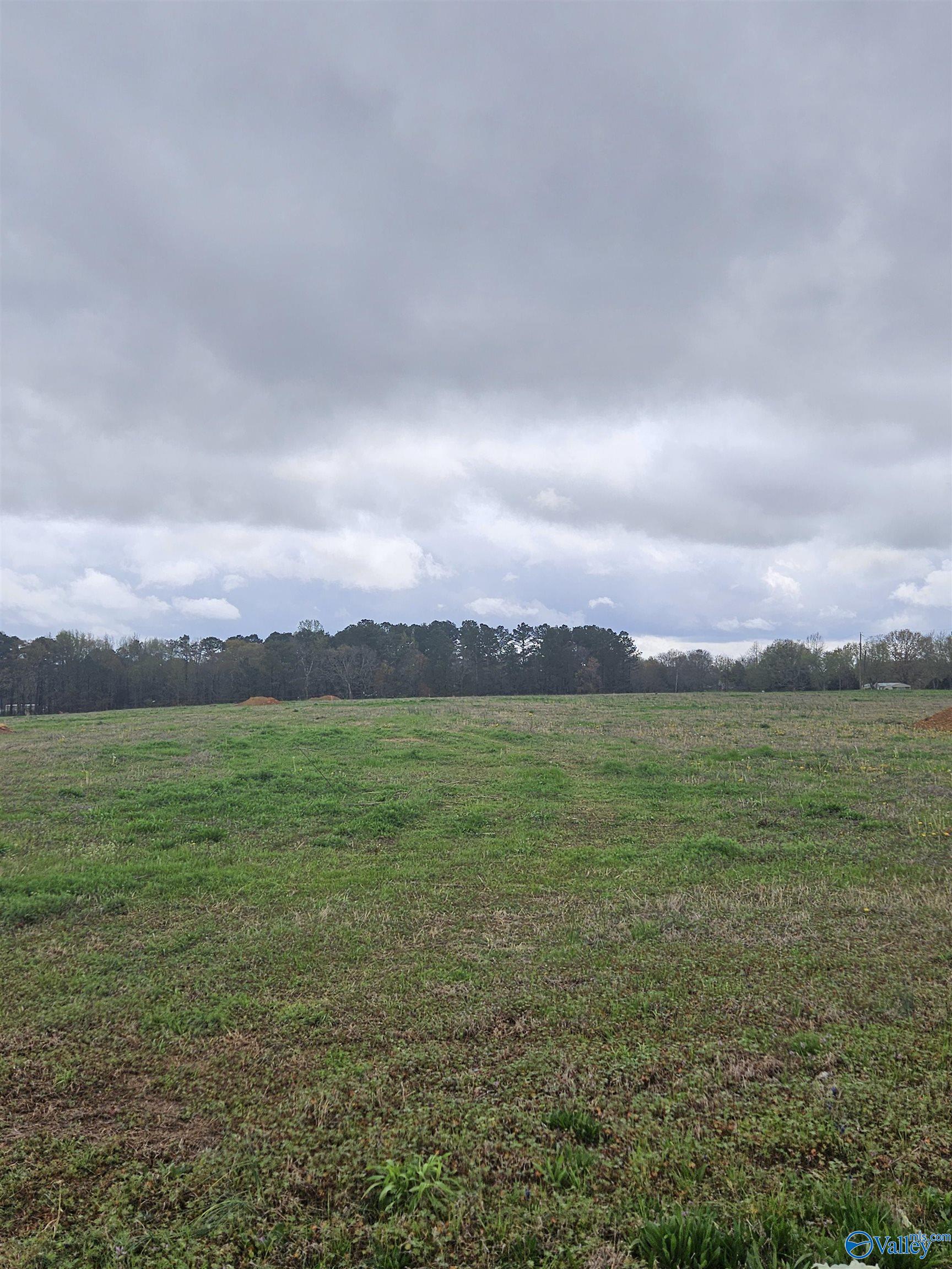 Lot 6 Elkwood Section Road, Hazel Green, Alabama image 1