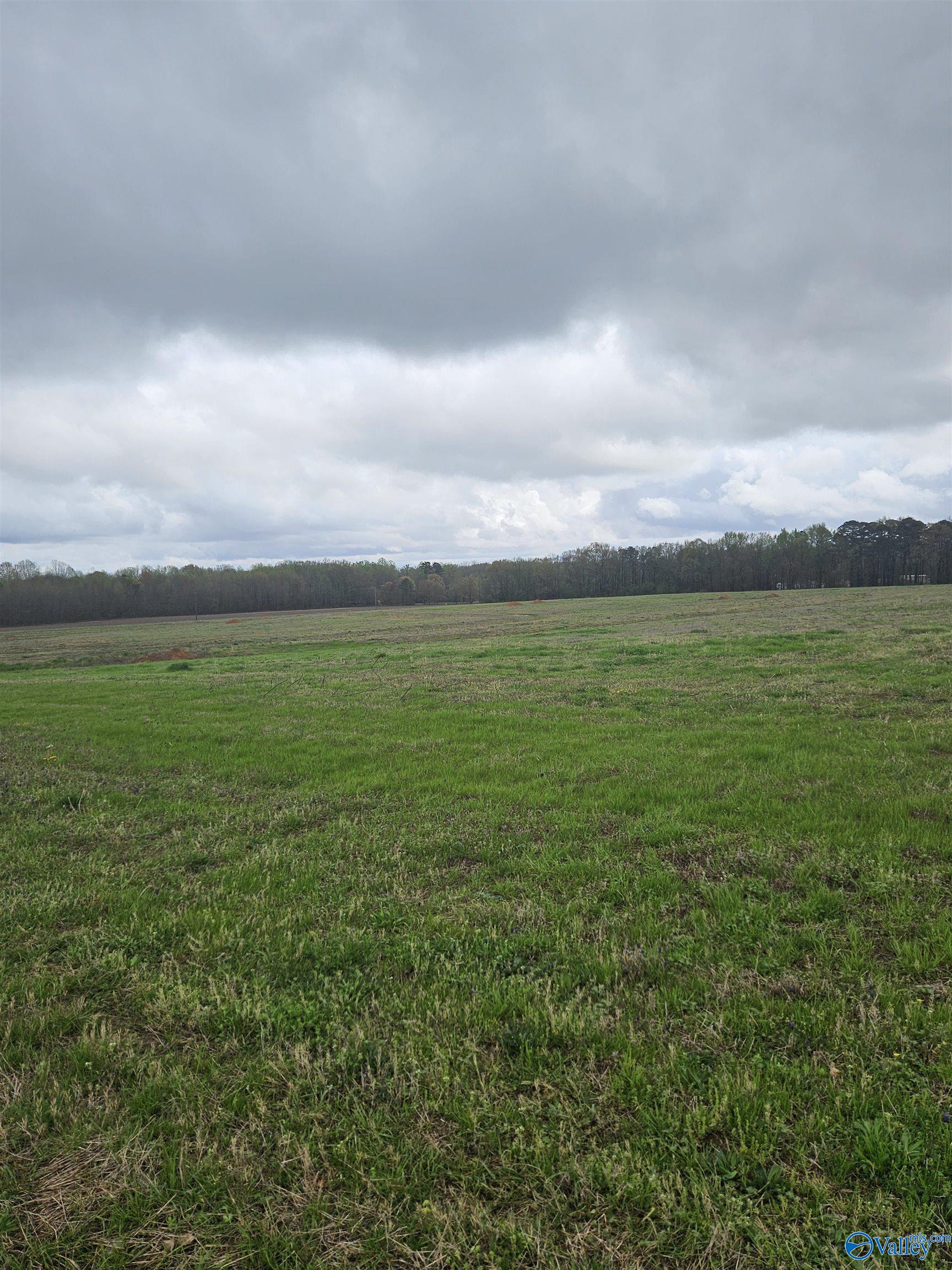 Lot 6 Elkwood Section Road, Hazel Green, Alabama image 4