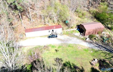 Mobile Home For Sale - 431 Rice Road<br/> Grant, AL 35747