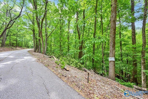 Vacant Land For Sale - LOT 13 Mill Creek Road<br/> Falkville, AL 35622