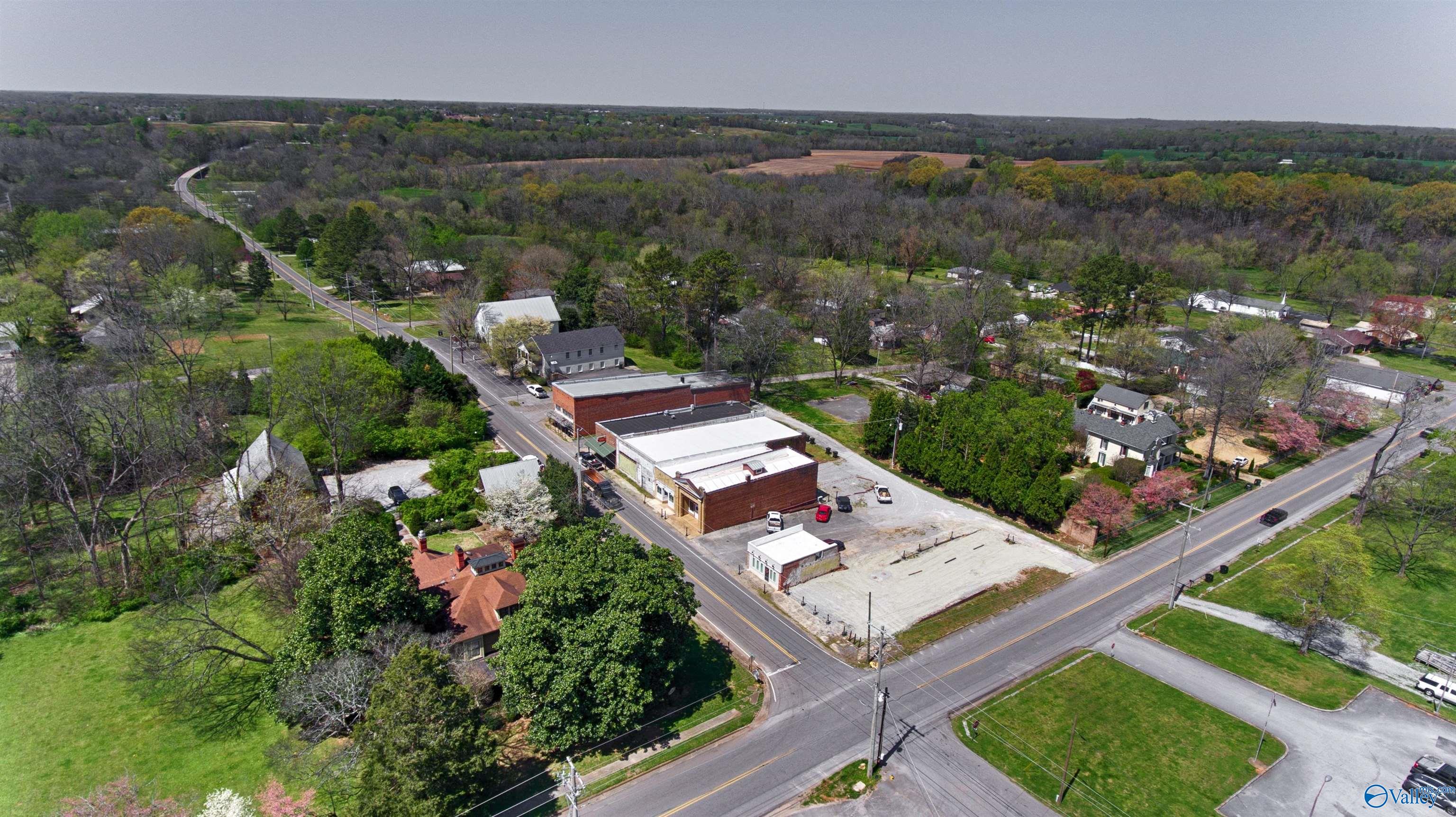 1741 New Market Road, New Market, Alabama image 2