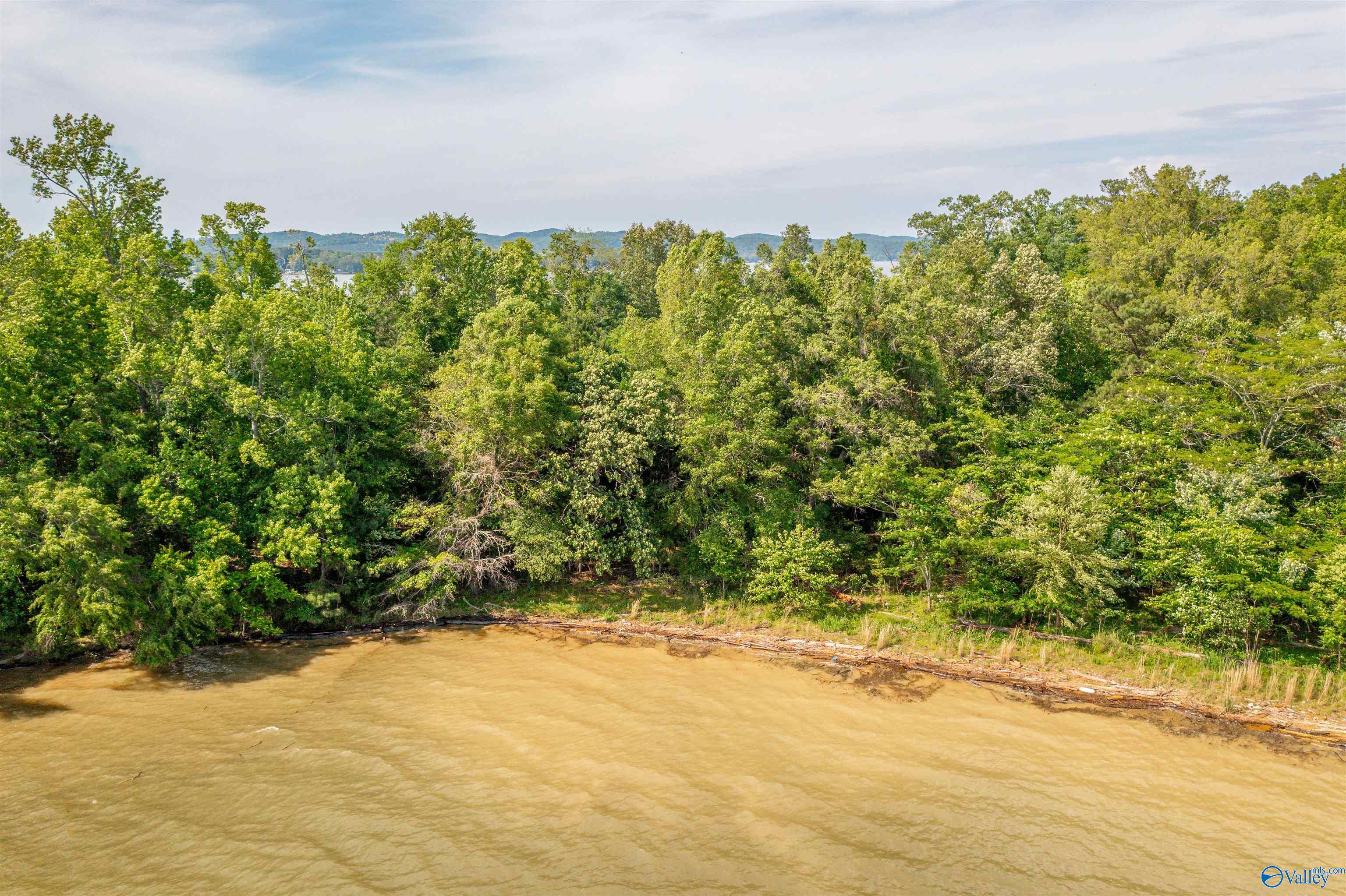 HH Moneys Bend Road #HH, Cedar Bluff, Alabama image 13