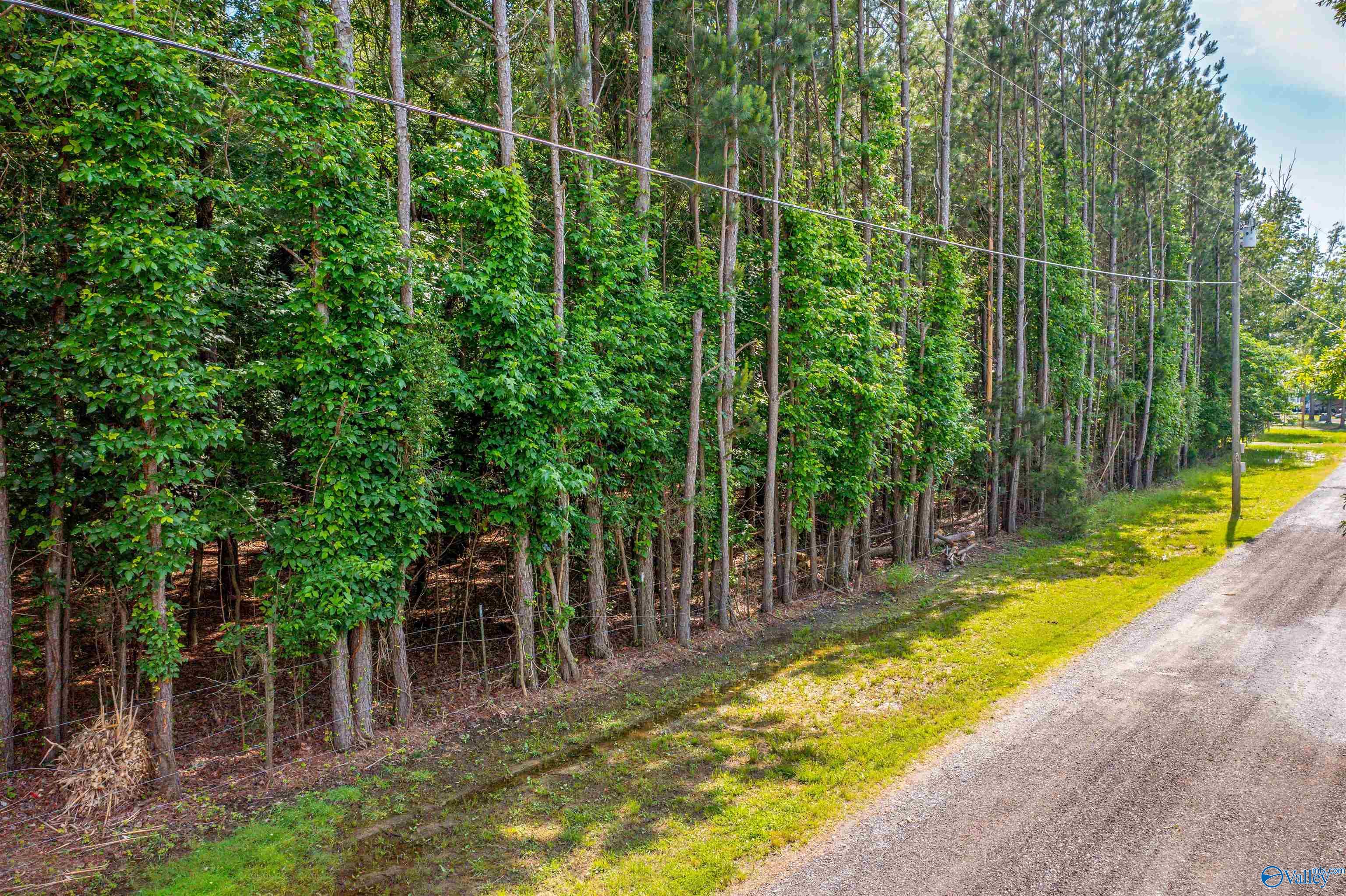 HH Moneys Bend Road #HH, Cedar Bluff, Alabama image 9