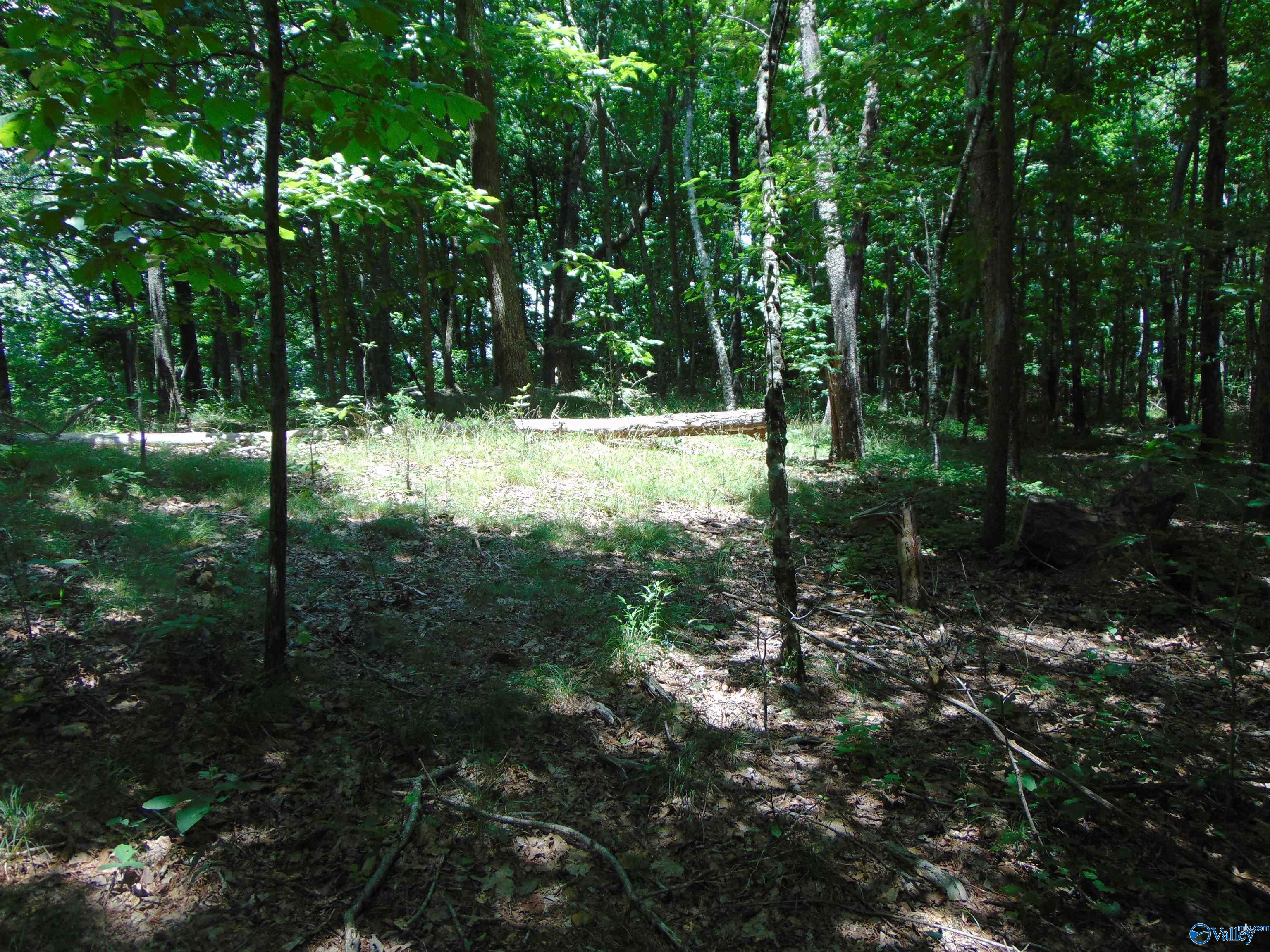 Lot 22 County Road 89, Mentone, Alabama image 4