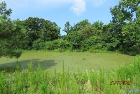 Vacant Land For Sale - TRACT 10 Brown Road<br/> Boaz, AL 35957