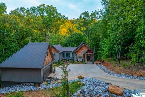 Homes For Sale - 1595 Mohawk Cliff Road<br/> Calhoun County, Ohatchee, AL 36271