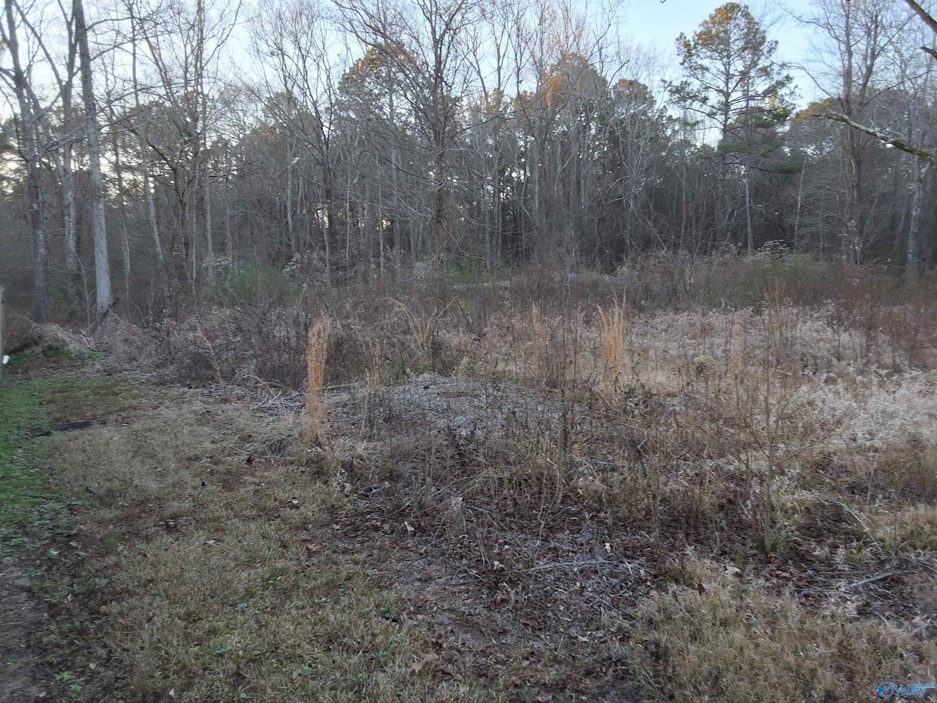 3.02 acres Euclid Road
