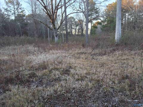 Vacant Land For Sale - 3.02 ACRES Euclid Road<br/> Gadsden, AL 35903