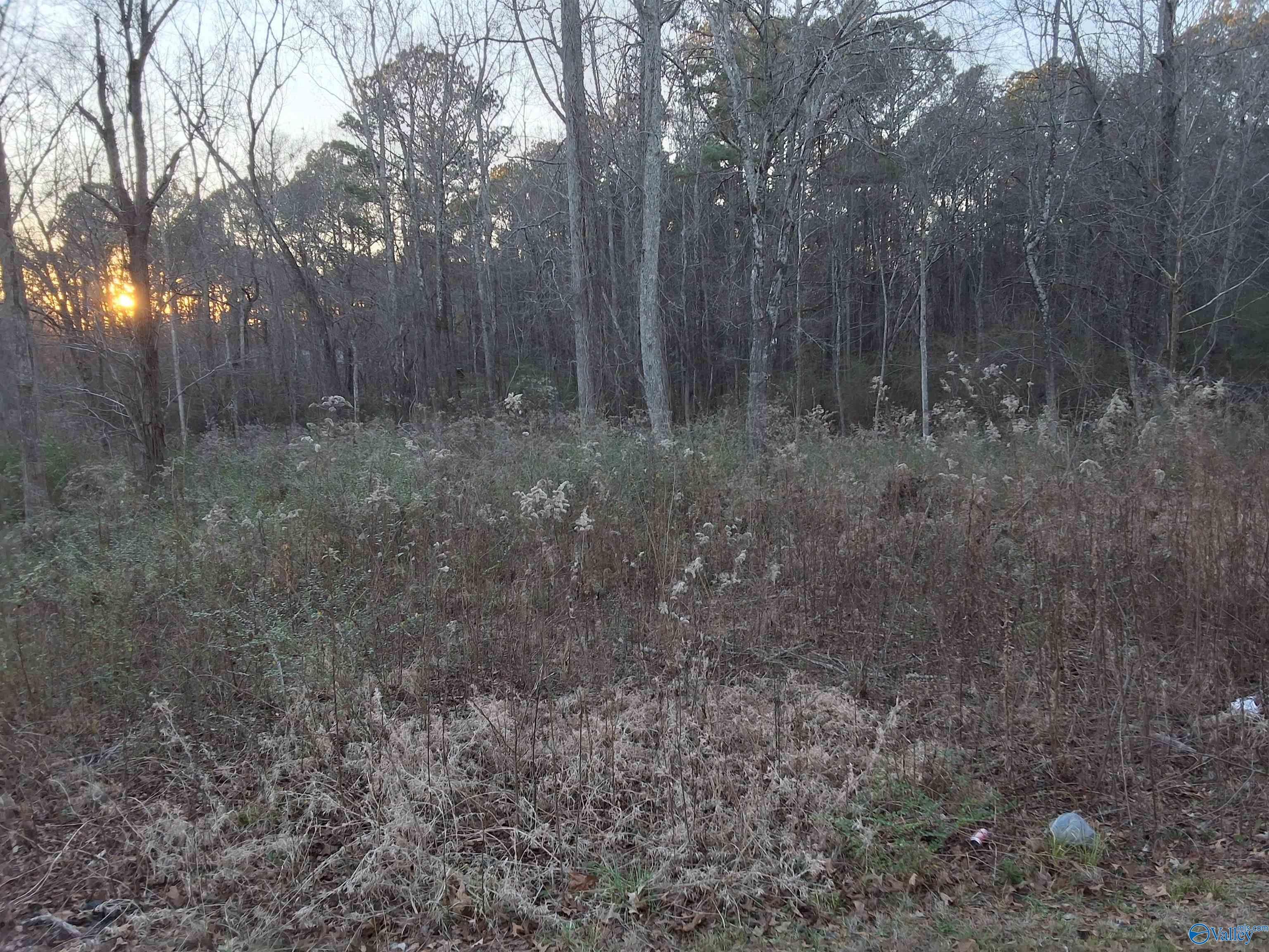 3.02 acres Euclid Road