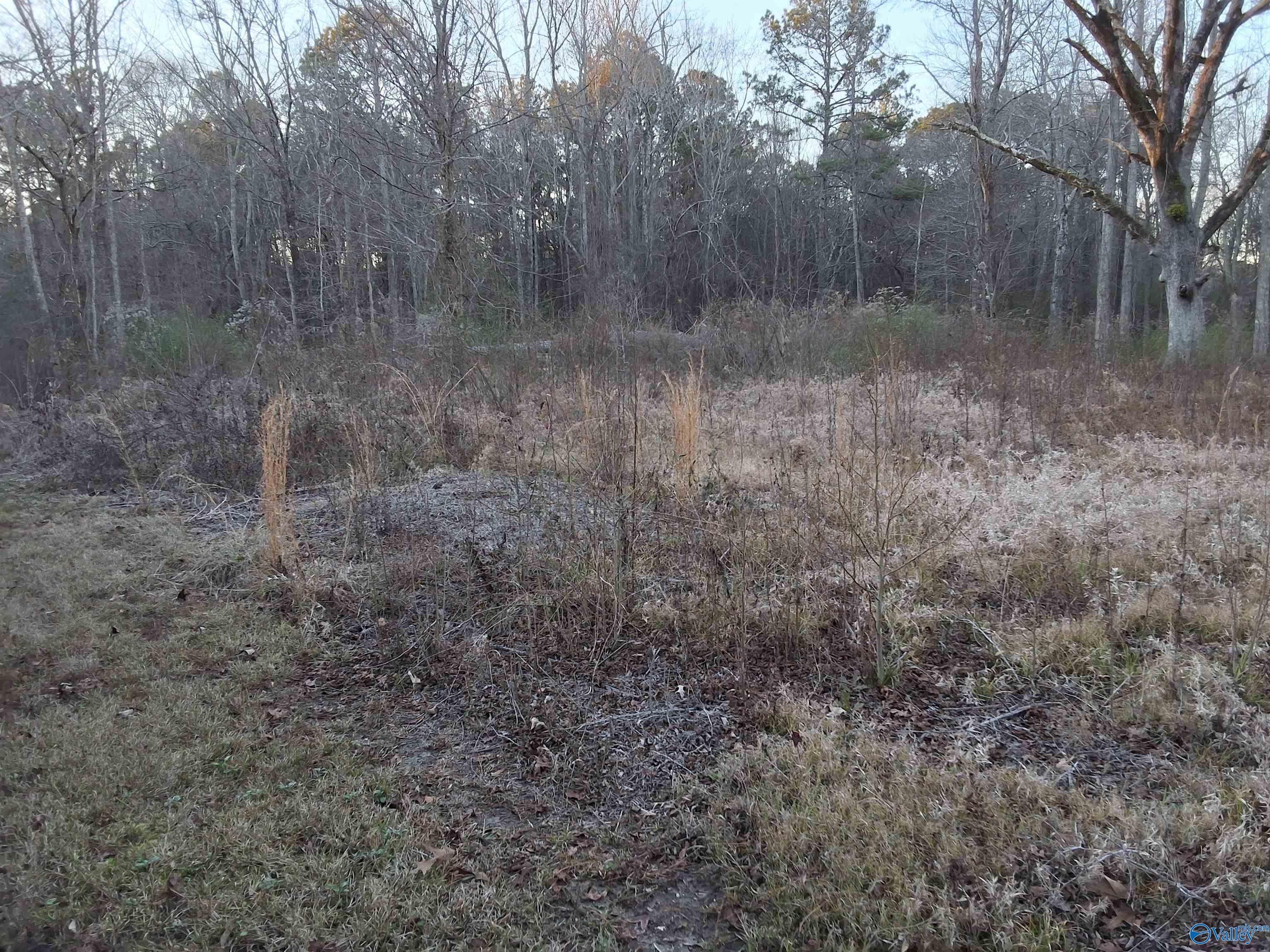 3.02 acres Euclid Road