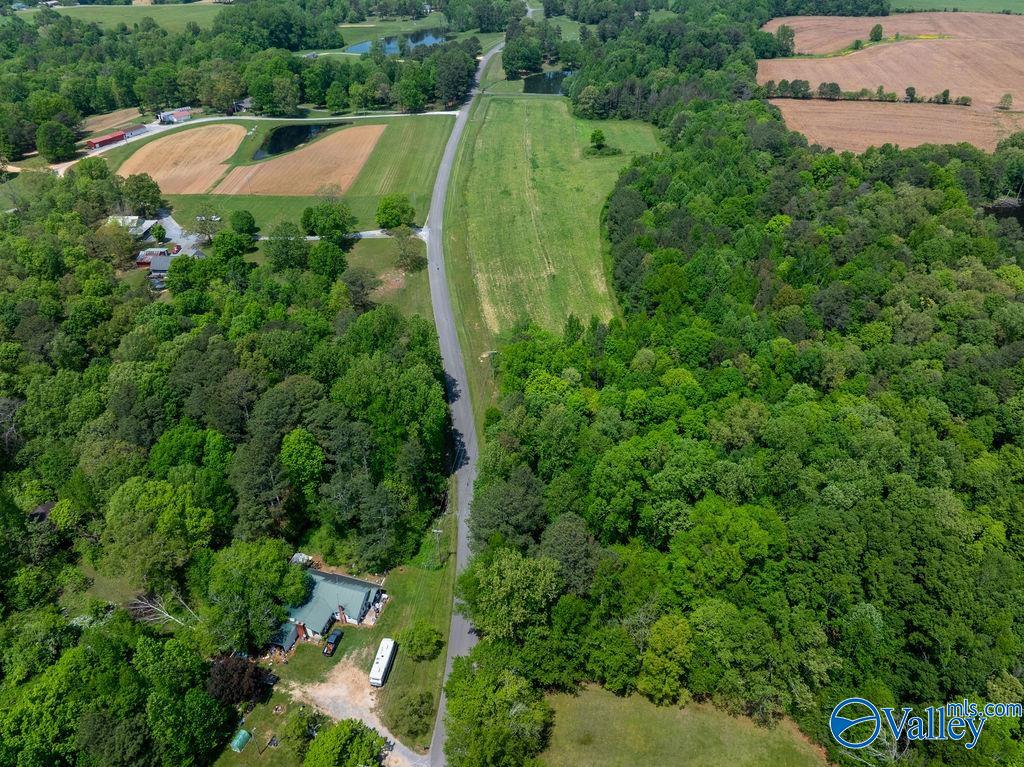14.75 ACRES Liberty Road, Henagar, Alabama image 5