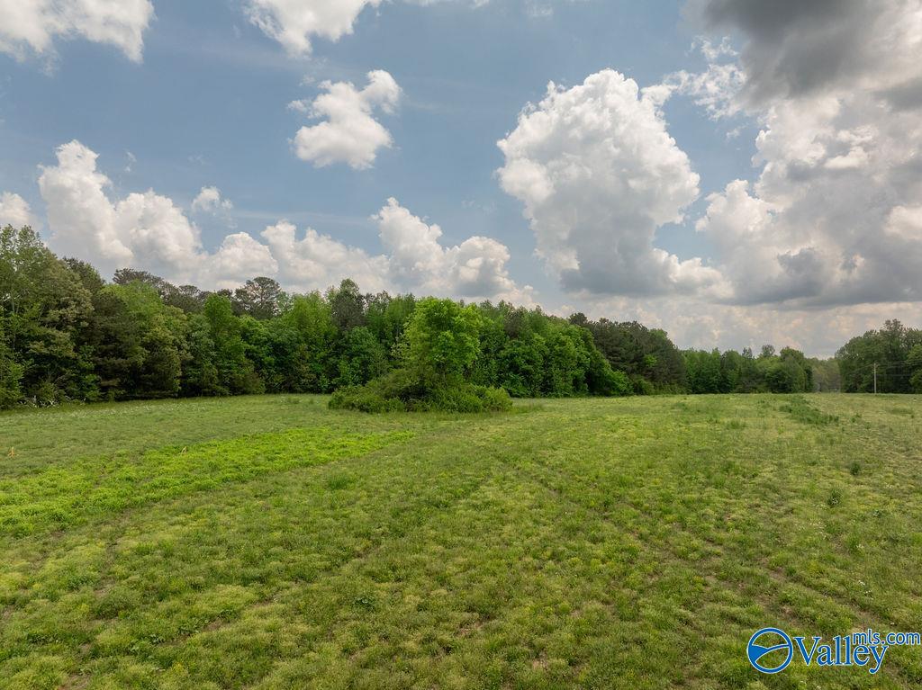 14.75 ACRES Liberty Road, Henagar, Alabama image 7