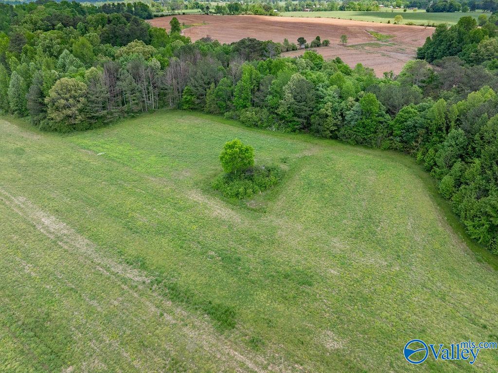 14.75 ACRES Liberty Road, Henagar, Alabama image 11