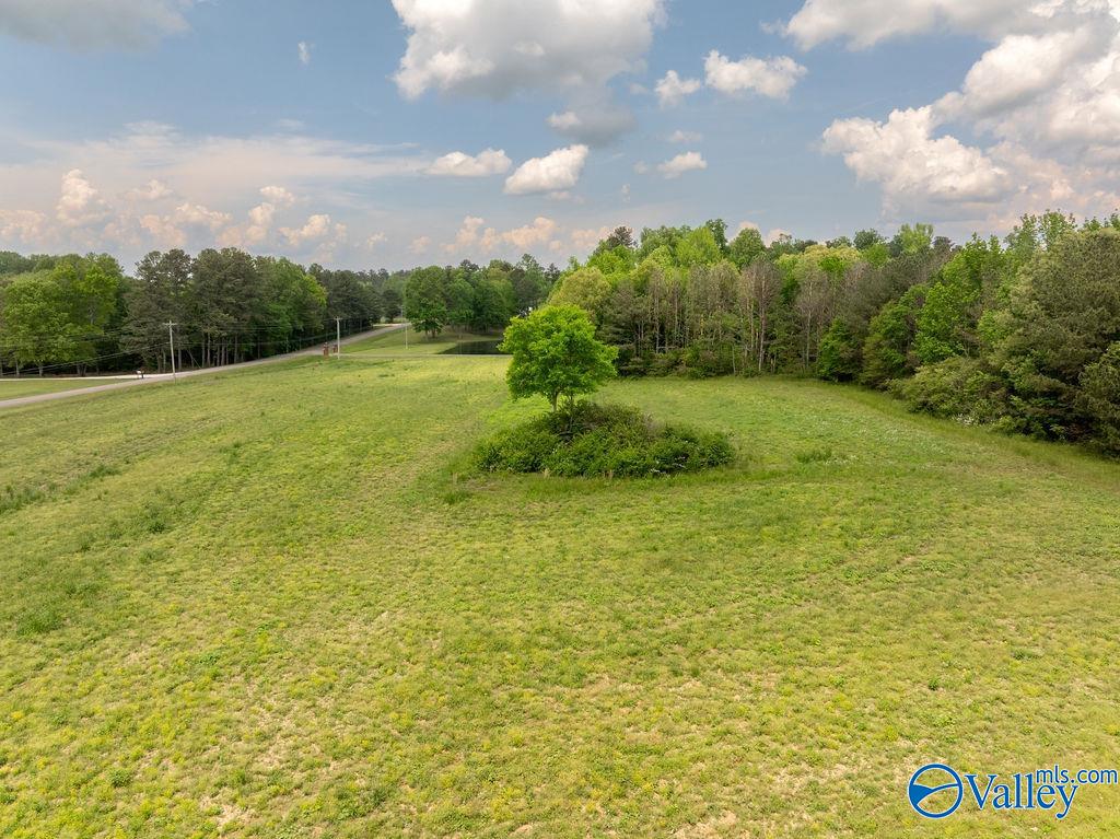 14.75 ACRES Liberty Road, Henagar, Alabama image 8