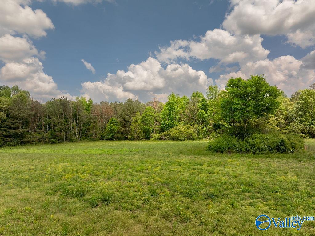 14.75 ACRES Liberty Road, Henagar, Alabama image 10