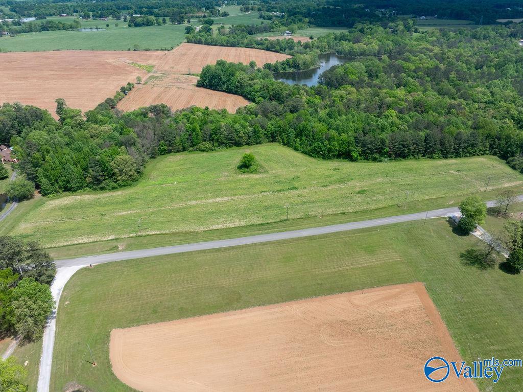 14.75 ACRES Liberty Road, Henagar, Alabama image 3