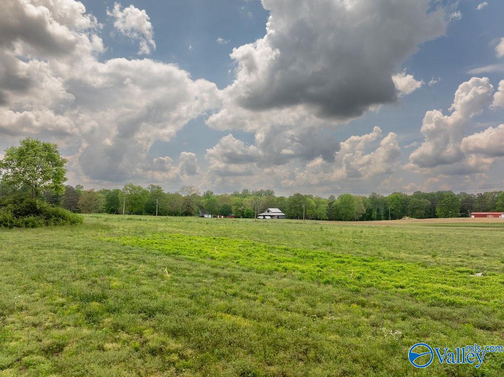 14.75 ACRES Liberty Road, Henagar, Alabama image 9