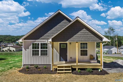 1412 Godfrey Avenue NE Fort Payne AL 35967