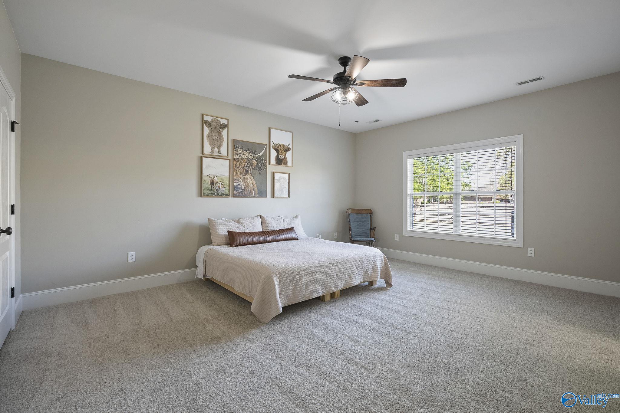 3111 Rocky Meadows Road, Owens Cross Roads, Alabama image 21