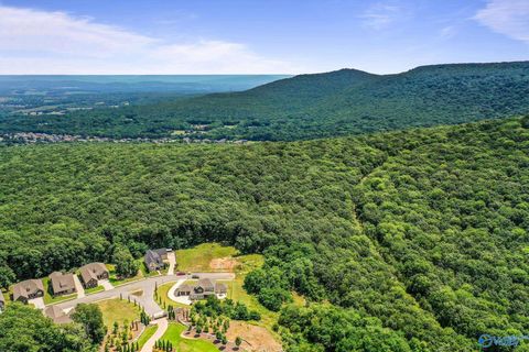 35.5 Acres Hawks Way Huntsville AL 35811