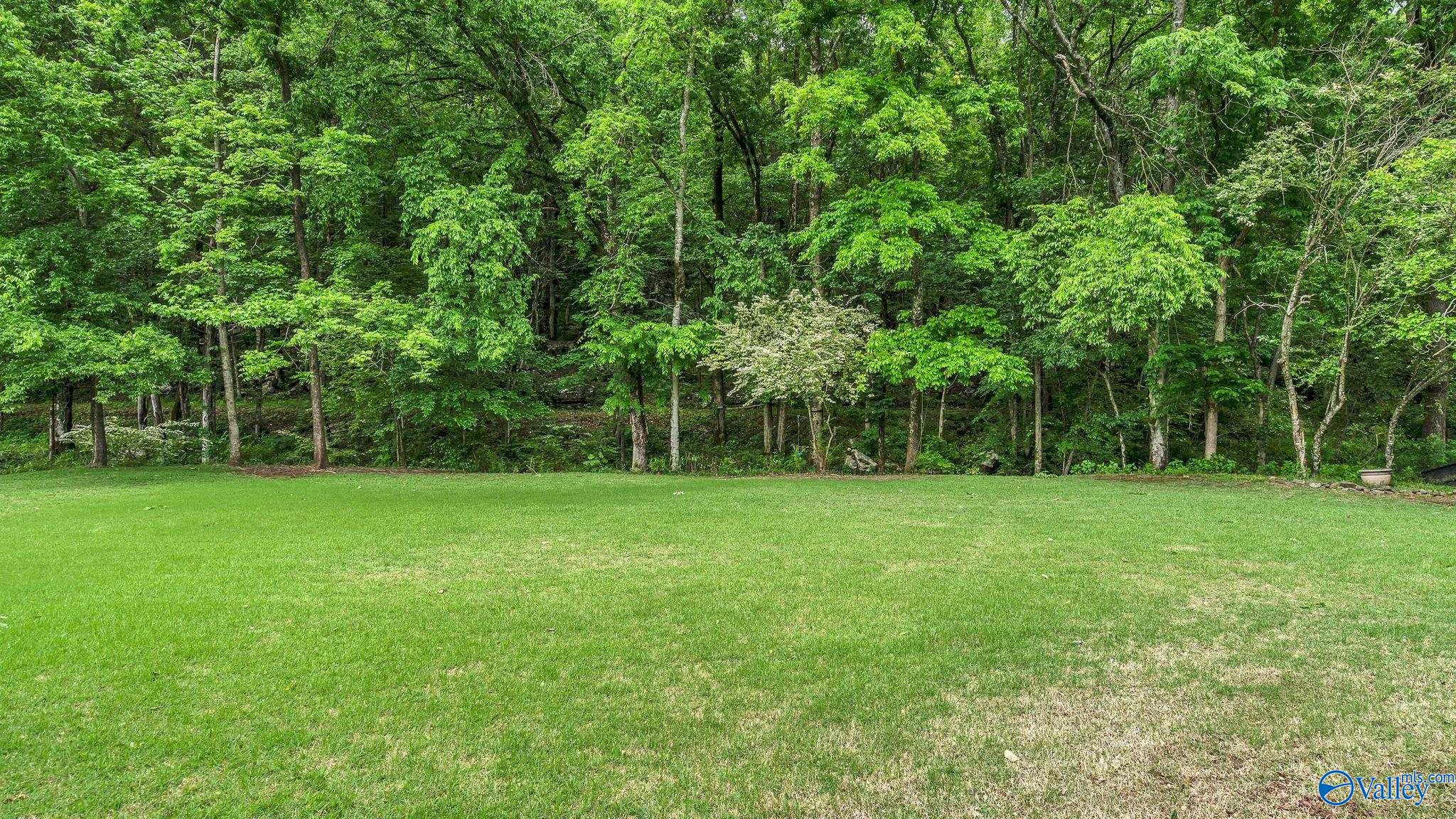 310 Broad Armstrong Drive, Brownsboro, Alabama image 41