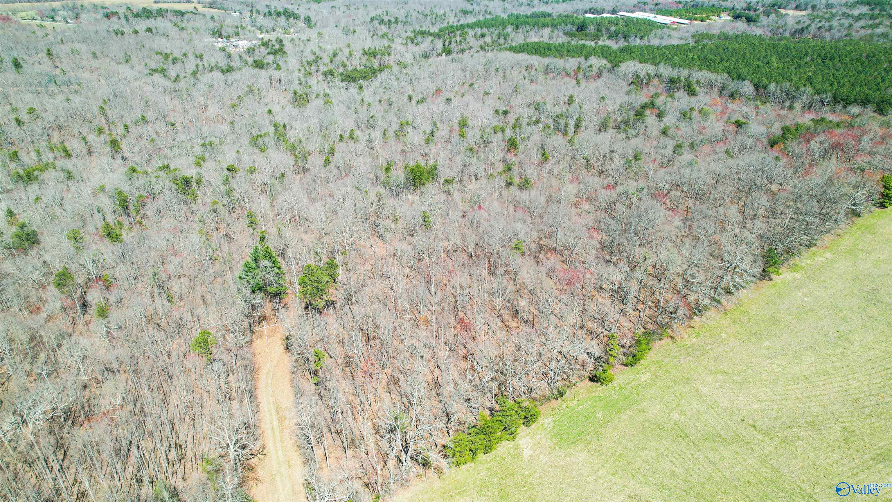 40 Acres County Road 492, Henagar, Alabama image 16
