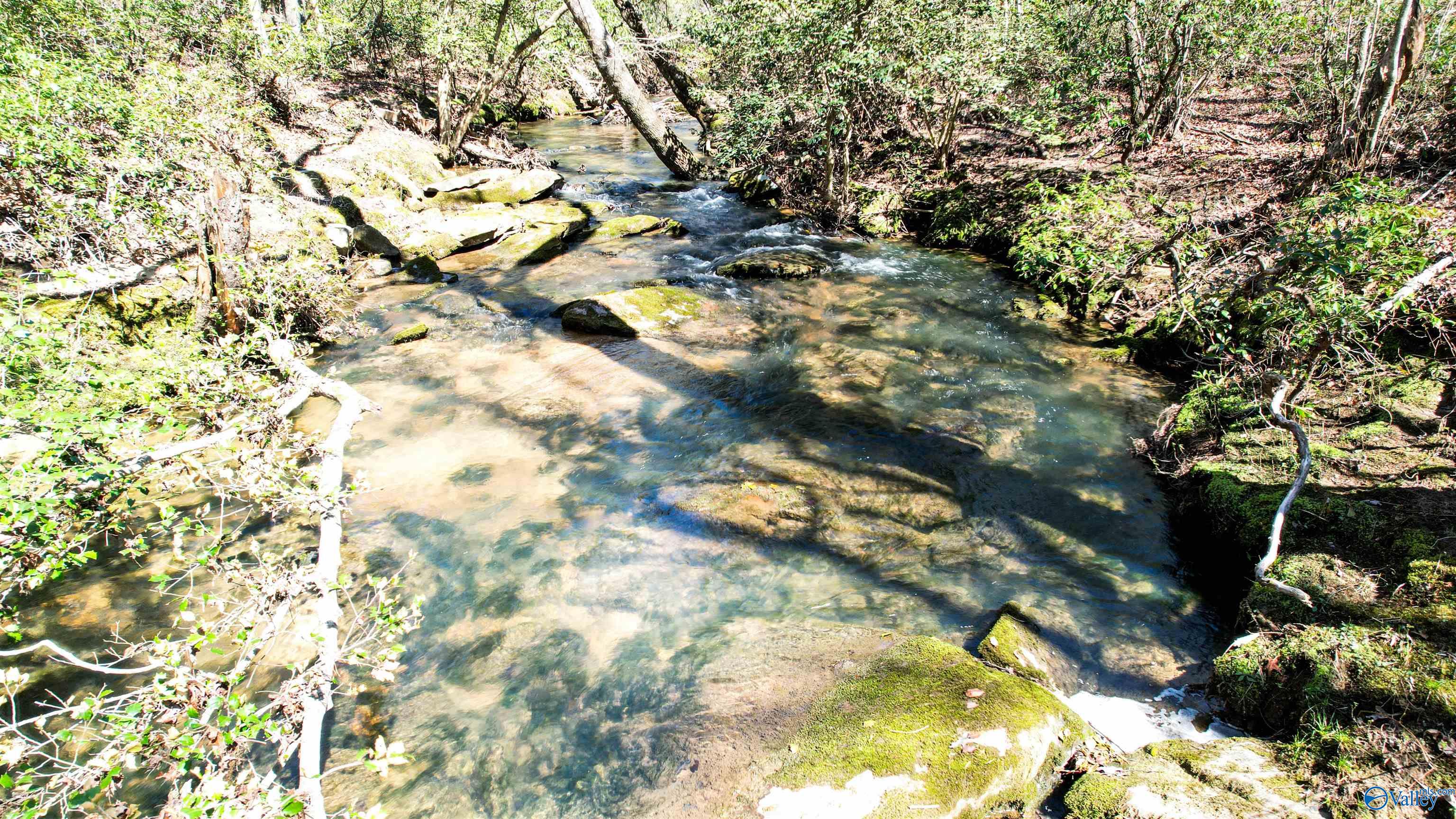 40 Acres County Road 492, Henagar, Alabama image 9