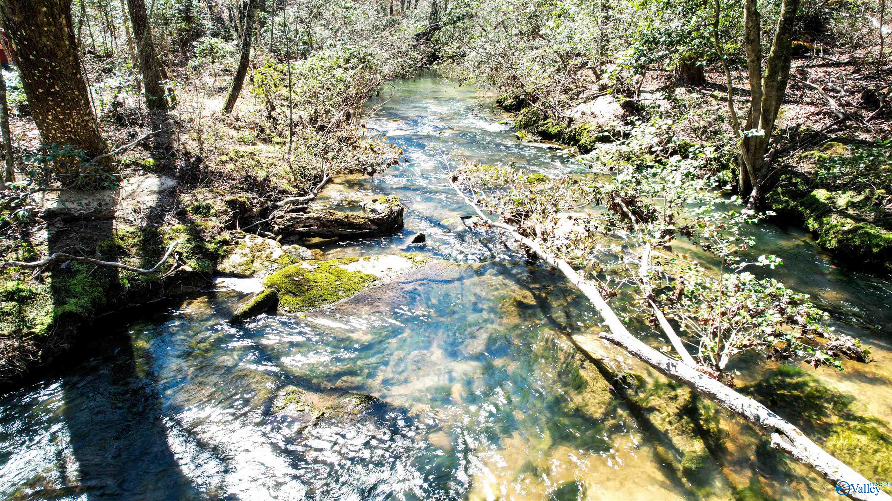 40 Acres County Road 492, Henagar, Alabama image 10