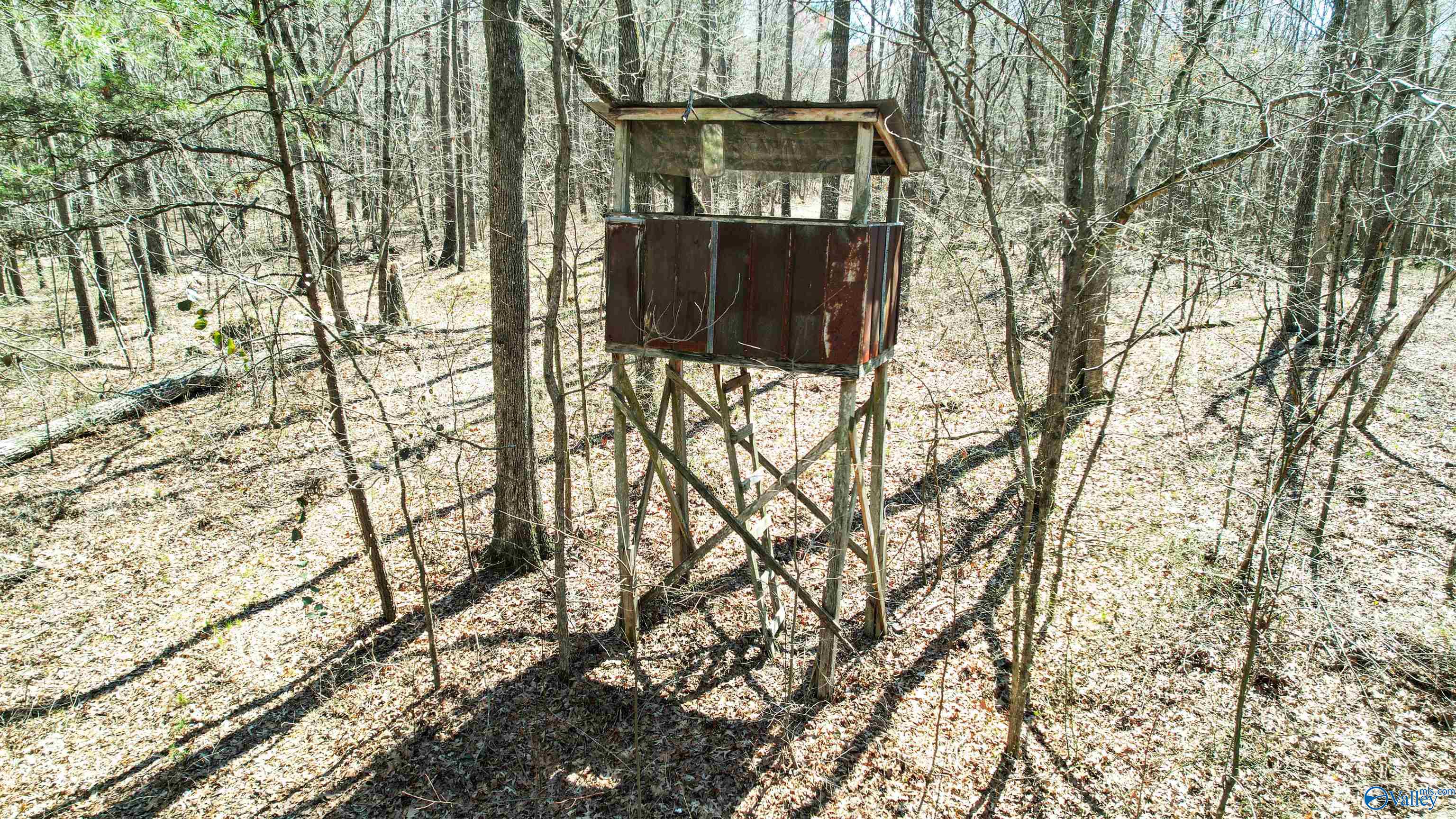 40 Acres County Road 492, Henagar, Alabama image 7