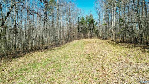 Vacant Land For Sale - 40 ACRES County Road 492<br/> Henagar, AL 35978