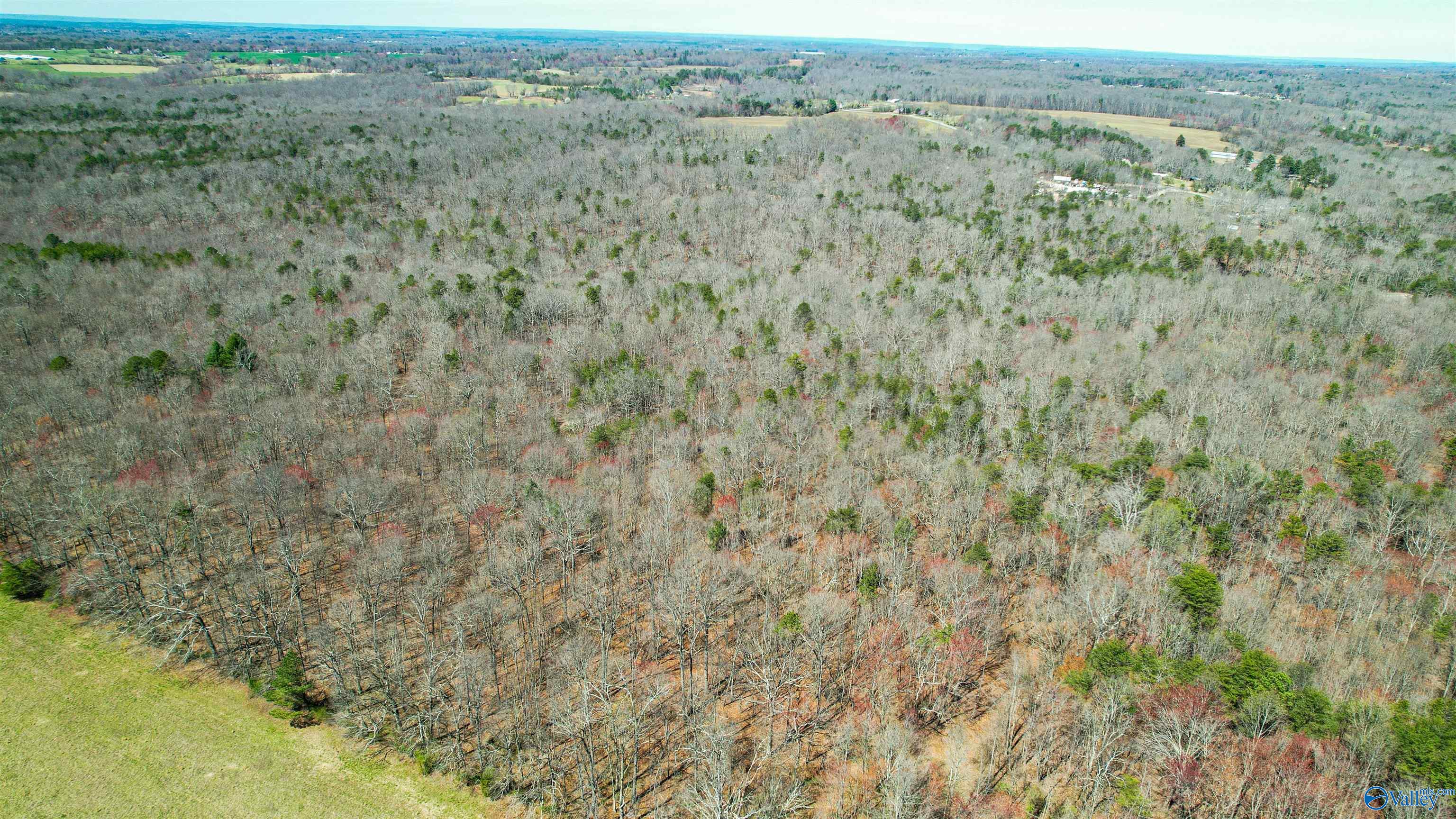 40 Acres County Road 492, Henagar, Alabama image 18