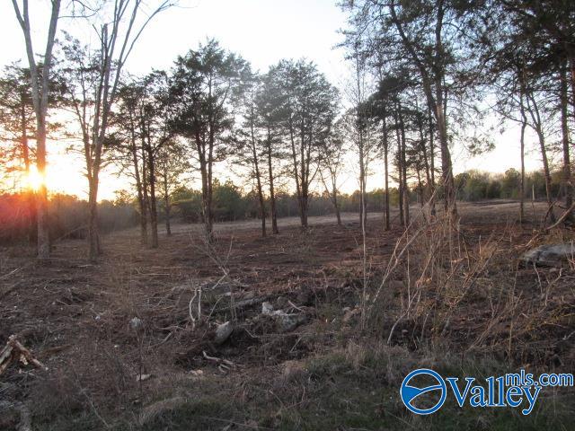 15 Martling Road, Albertville, Alabama image 5