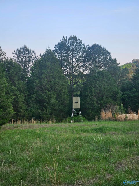 Vacant Land For Sale - 8200 Owls Hollow Road<br/> Gadsden, AL 35901