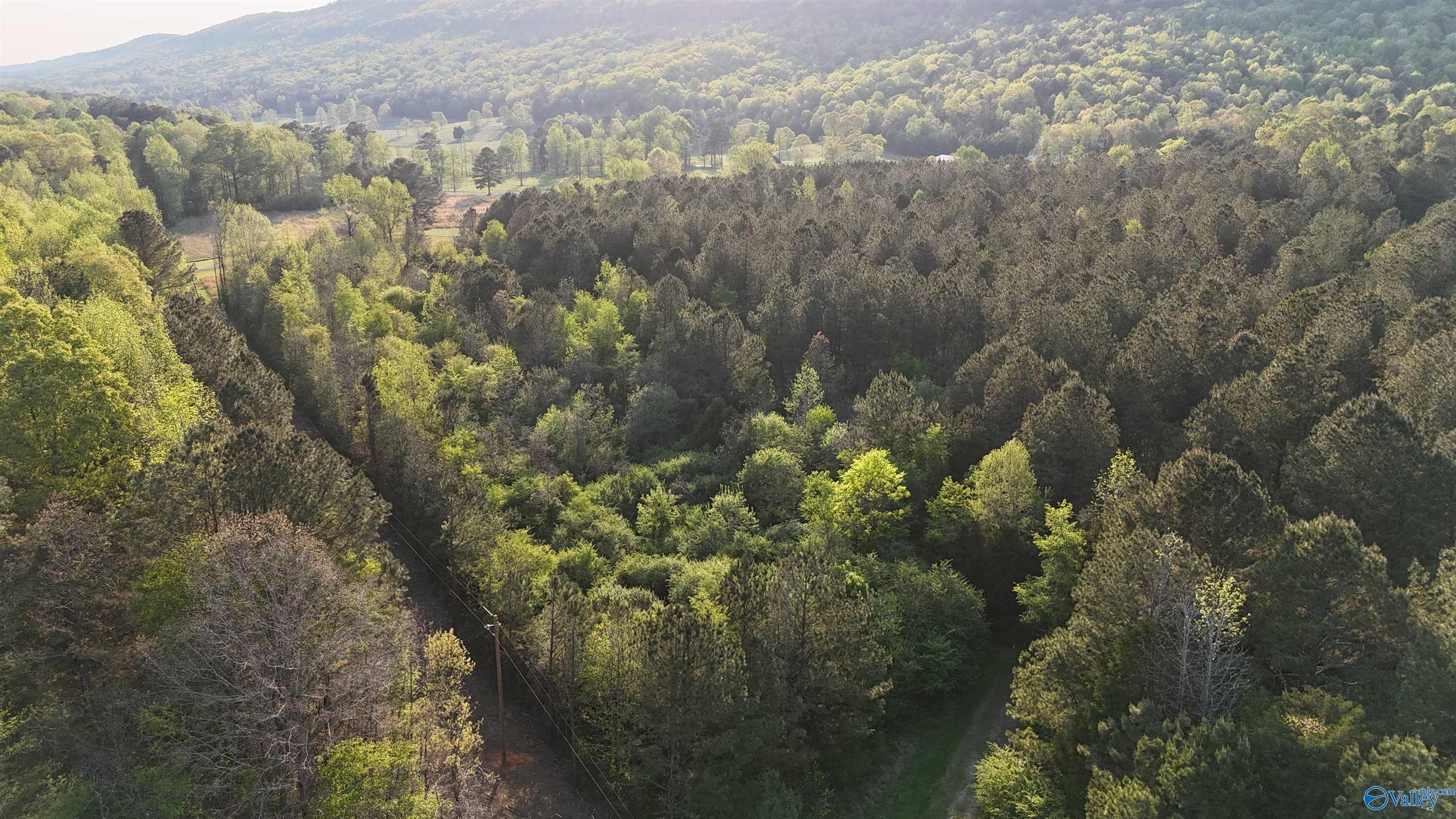 8200 Owls Hollow Road