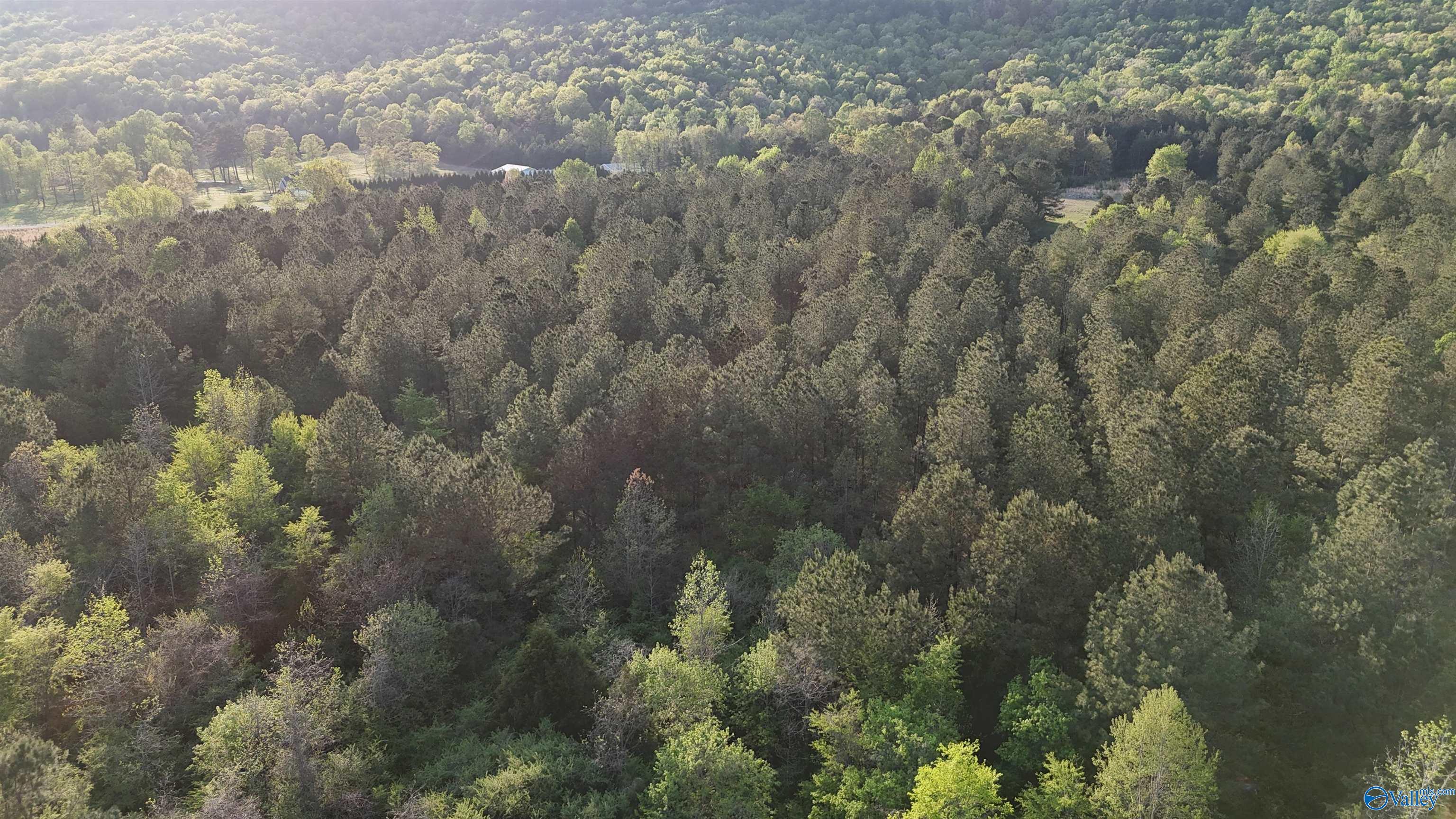 8200 Owls Hollow Road