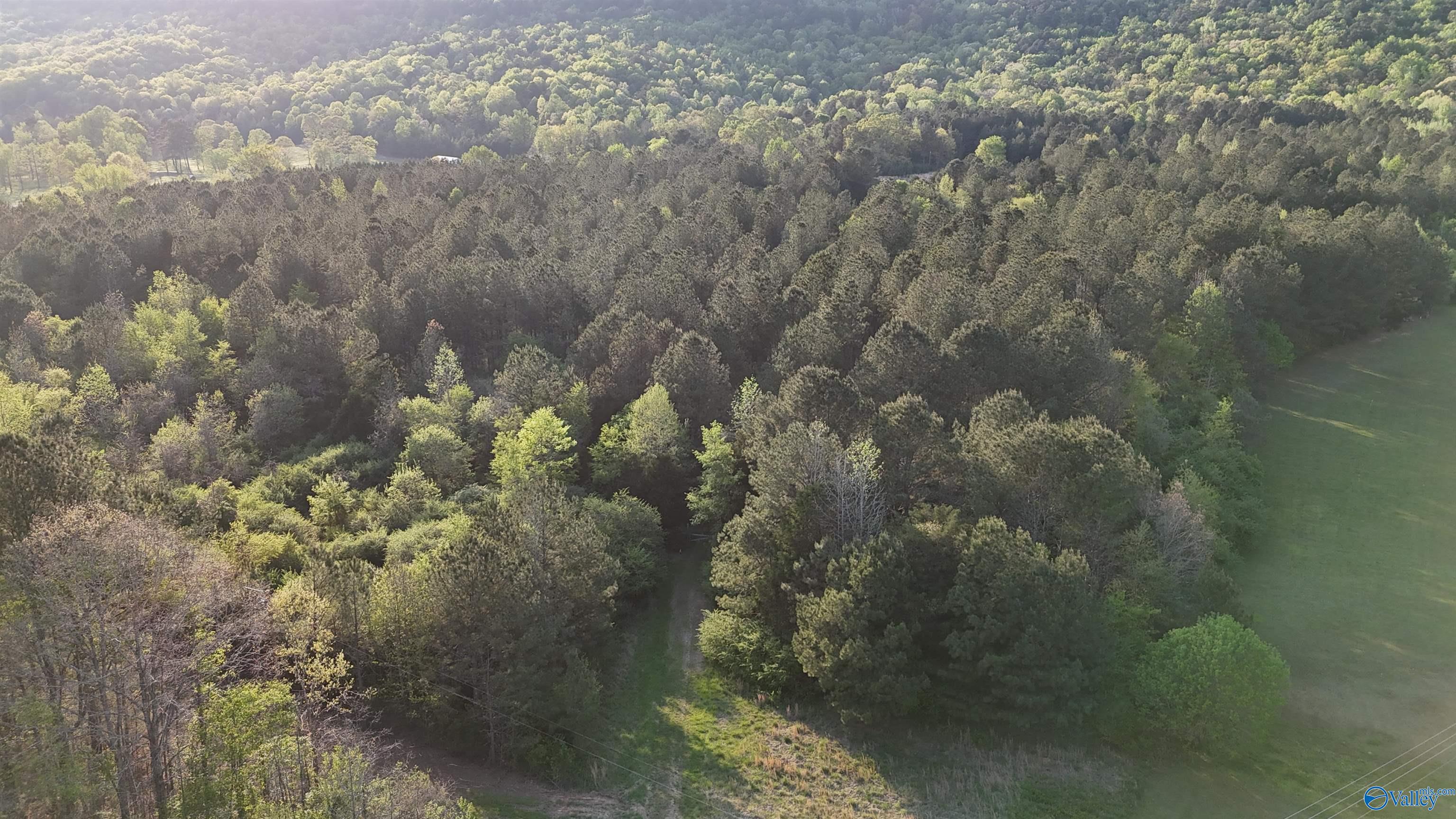 8200 Owls Hollow Road