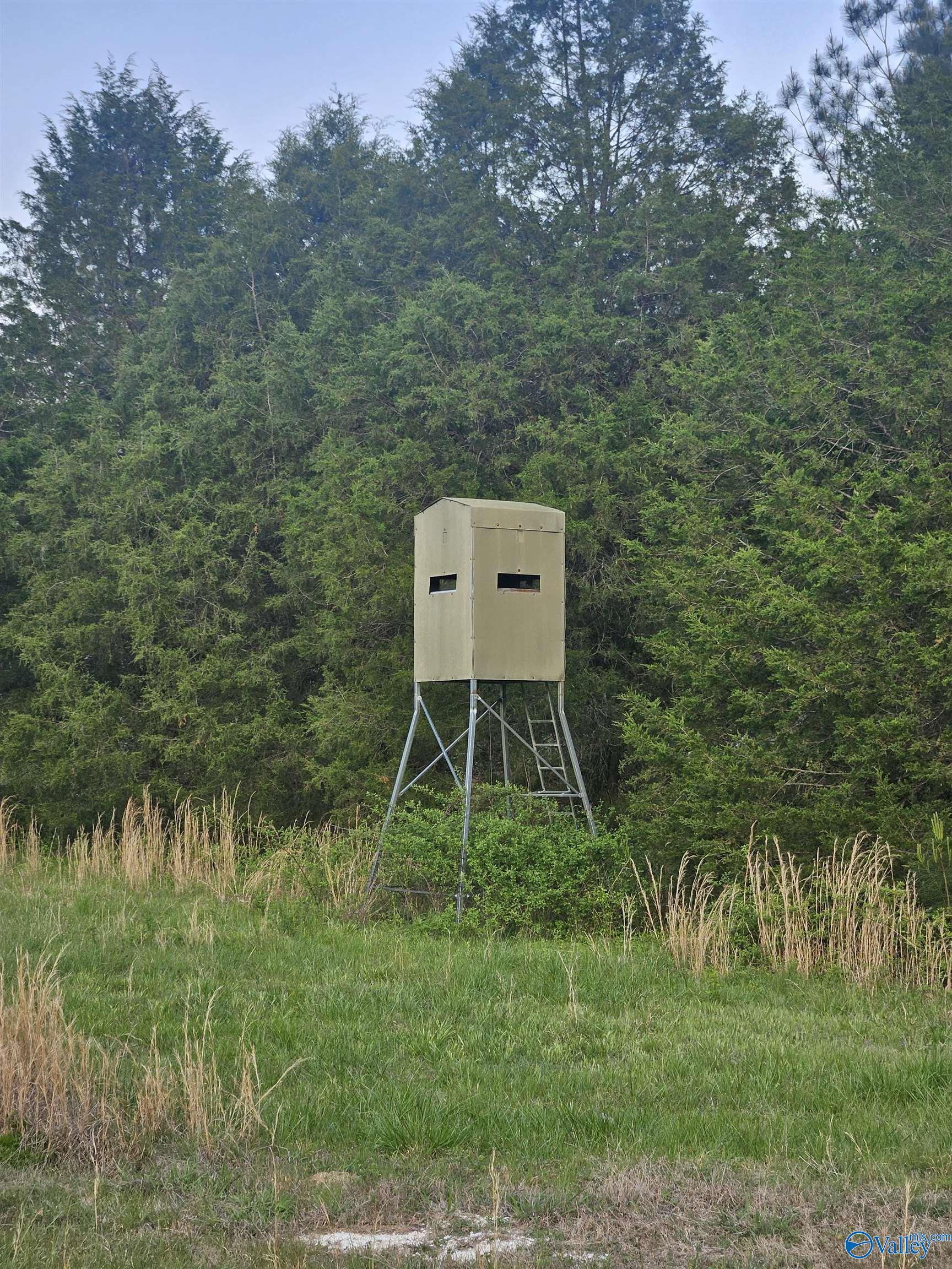 8200 Owls Hollow Road