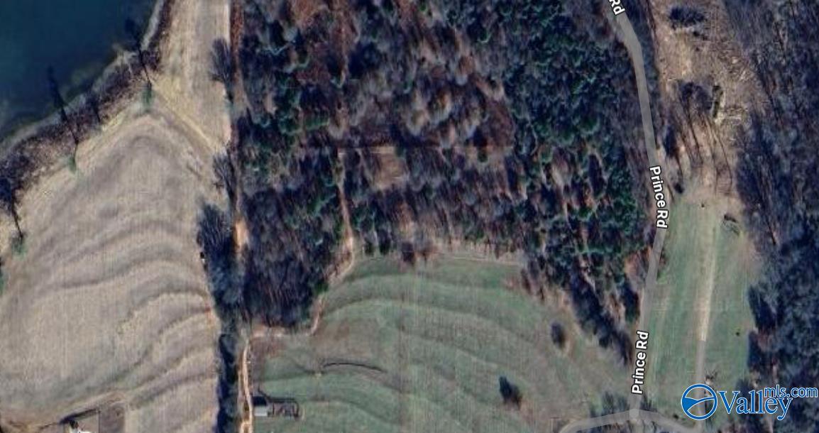 1479 Shirt Tail Bend Road, New Hope, Alabama image 4