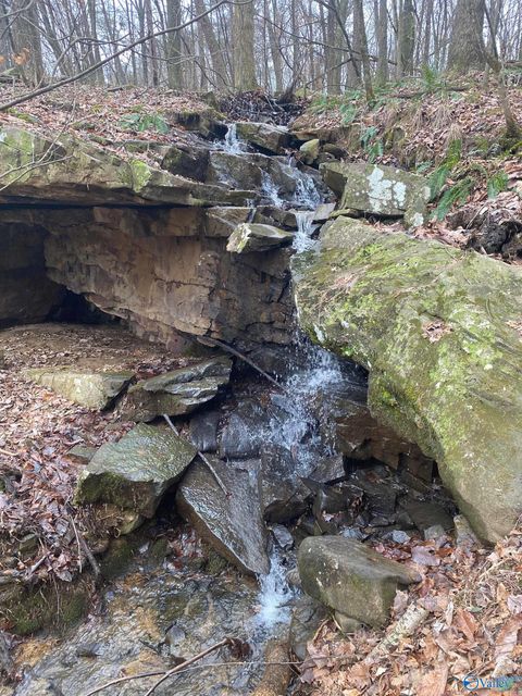 Vacant Land For Sale - 123456 County Road 121<br/> Fort Payne, AL 35968