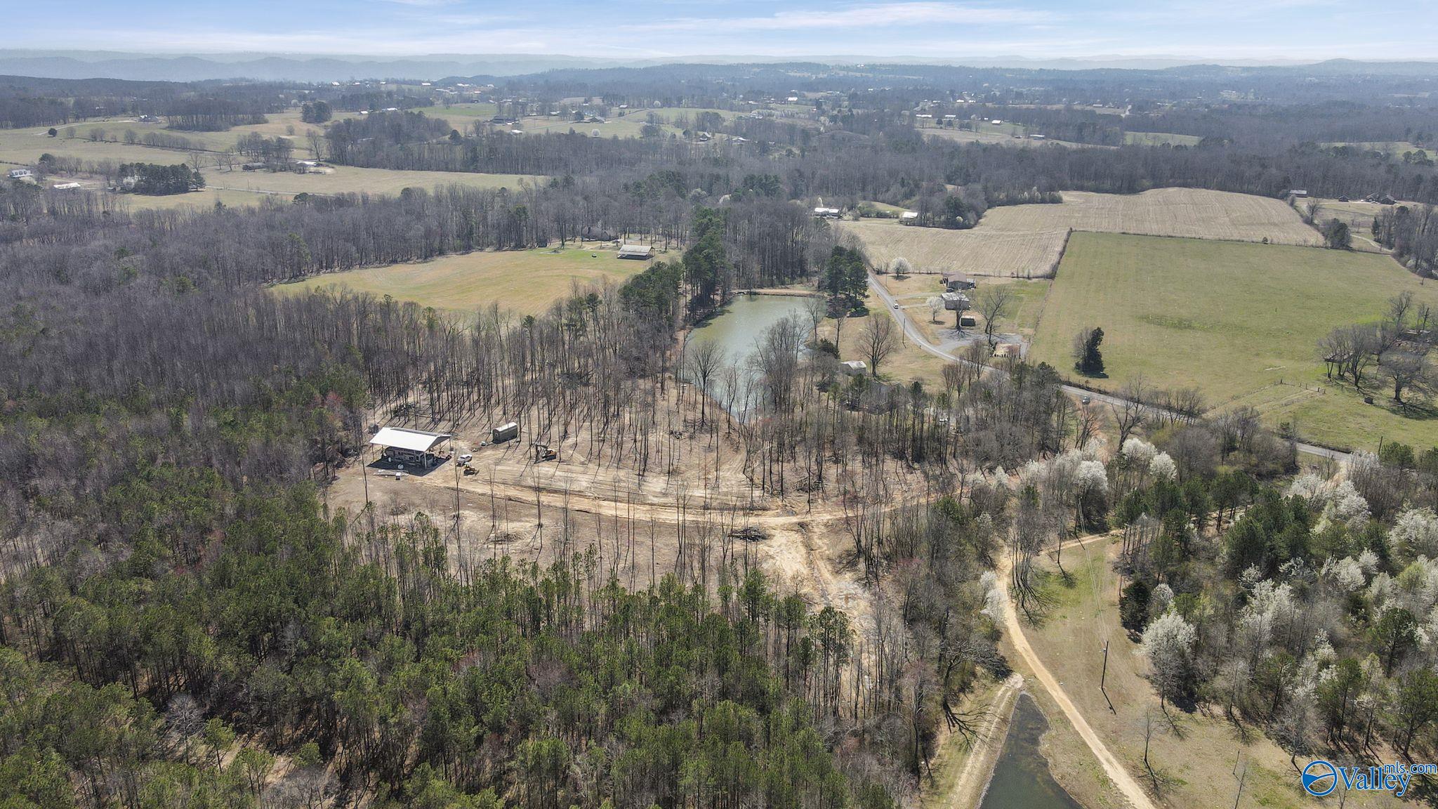 657 Maze Road, Arab, Alabama image 8