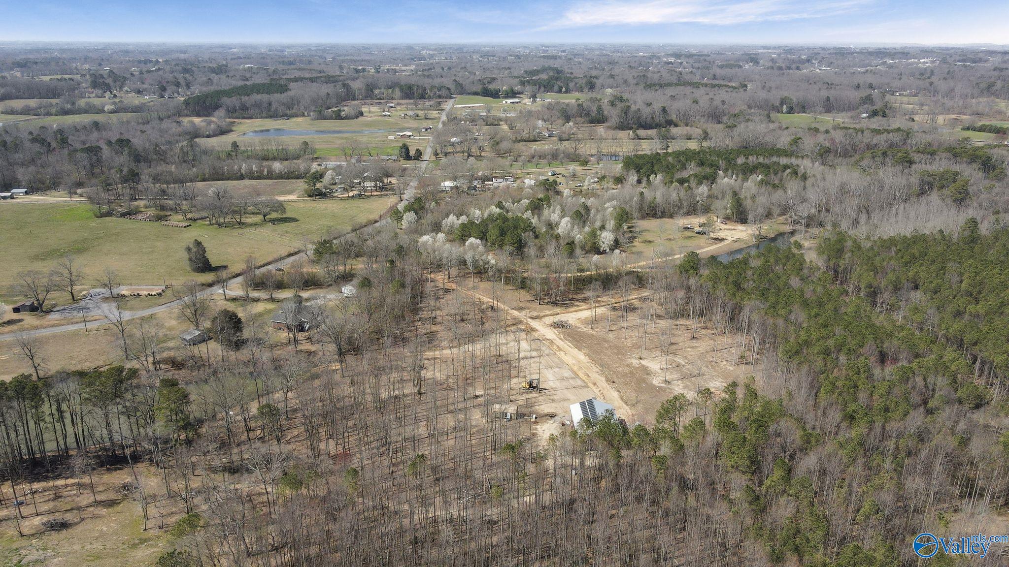 657 Maze Road, Arab, Alabama image 11