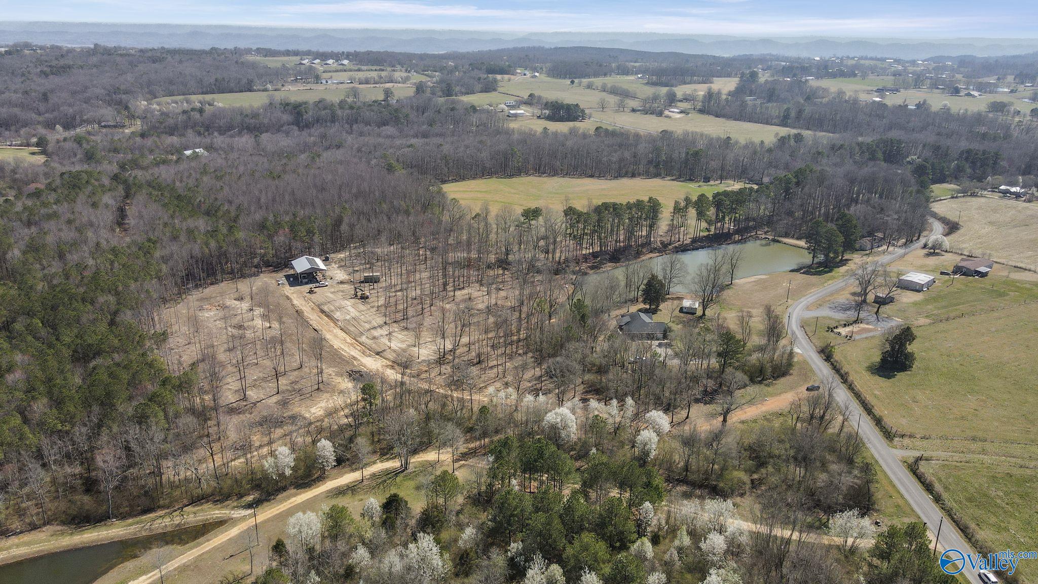 657 Maze Road, Arab, Alabama image 7