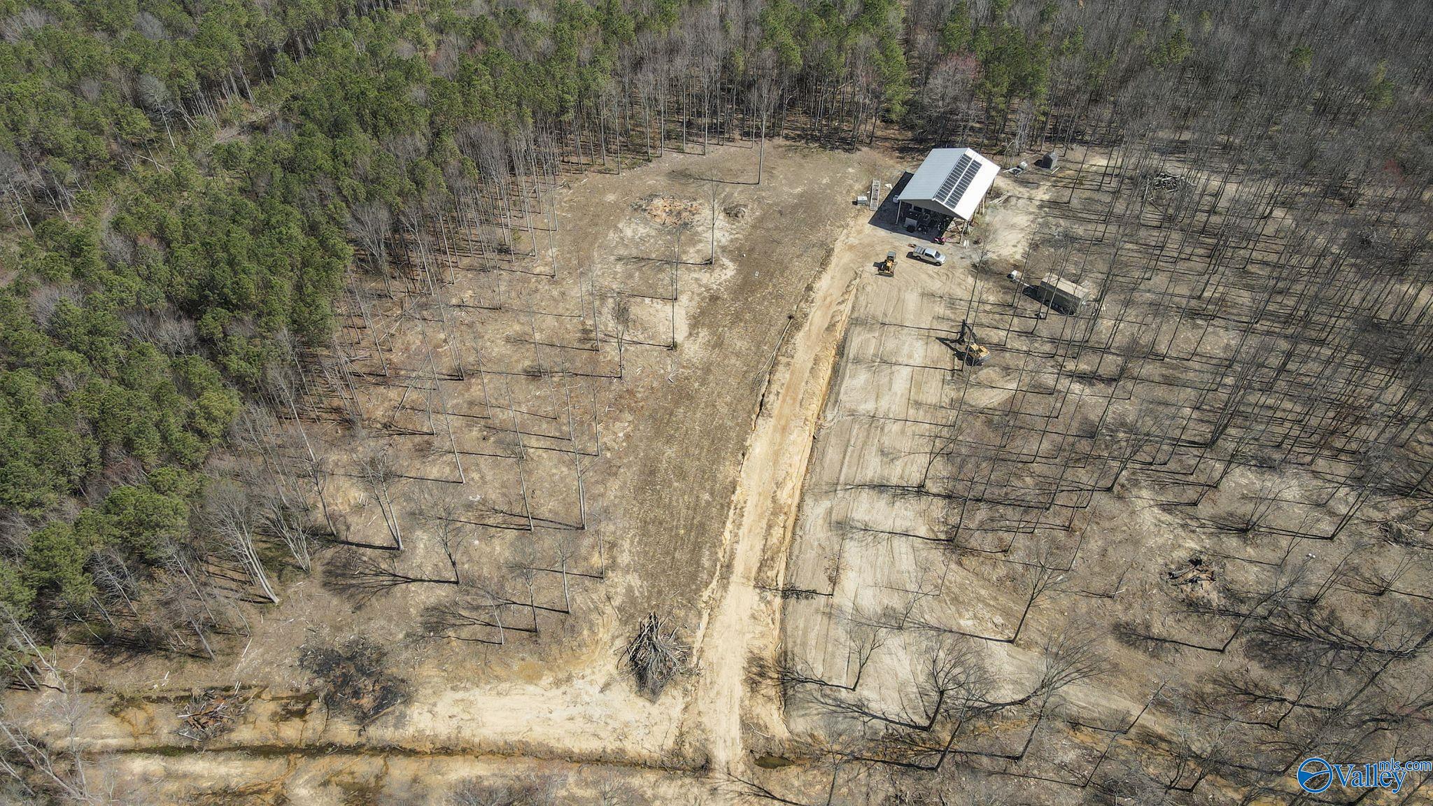 657 Maze Road, Arab, Alabama image 16