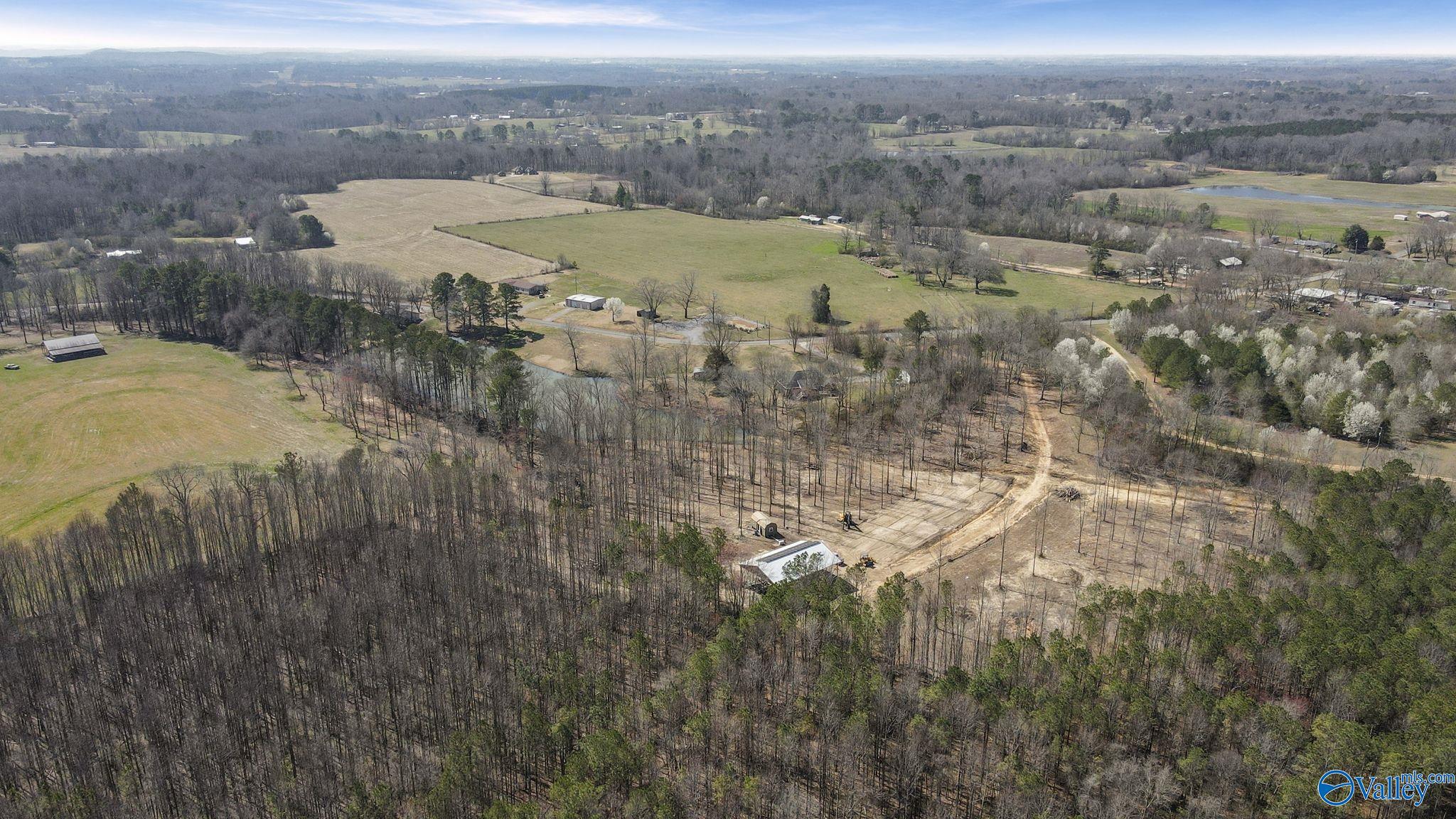 657 Maze Road, Arab, Alabama image 9