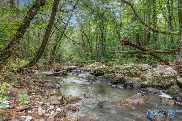 288 COUNTY RD 431, BRYANT, AL 35958 - Image 672e284588b4bf35d71c7e9f3122c13f/3736016926